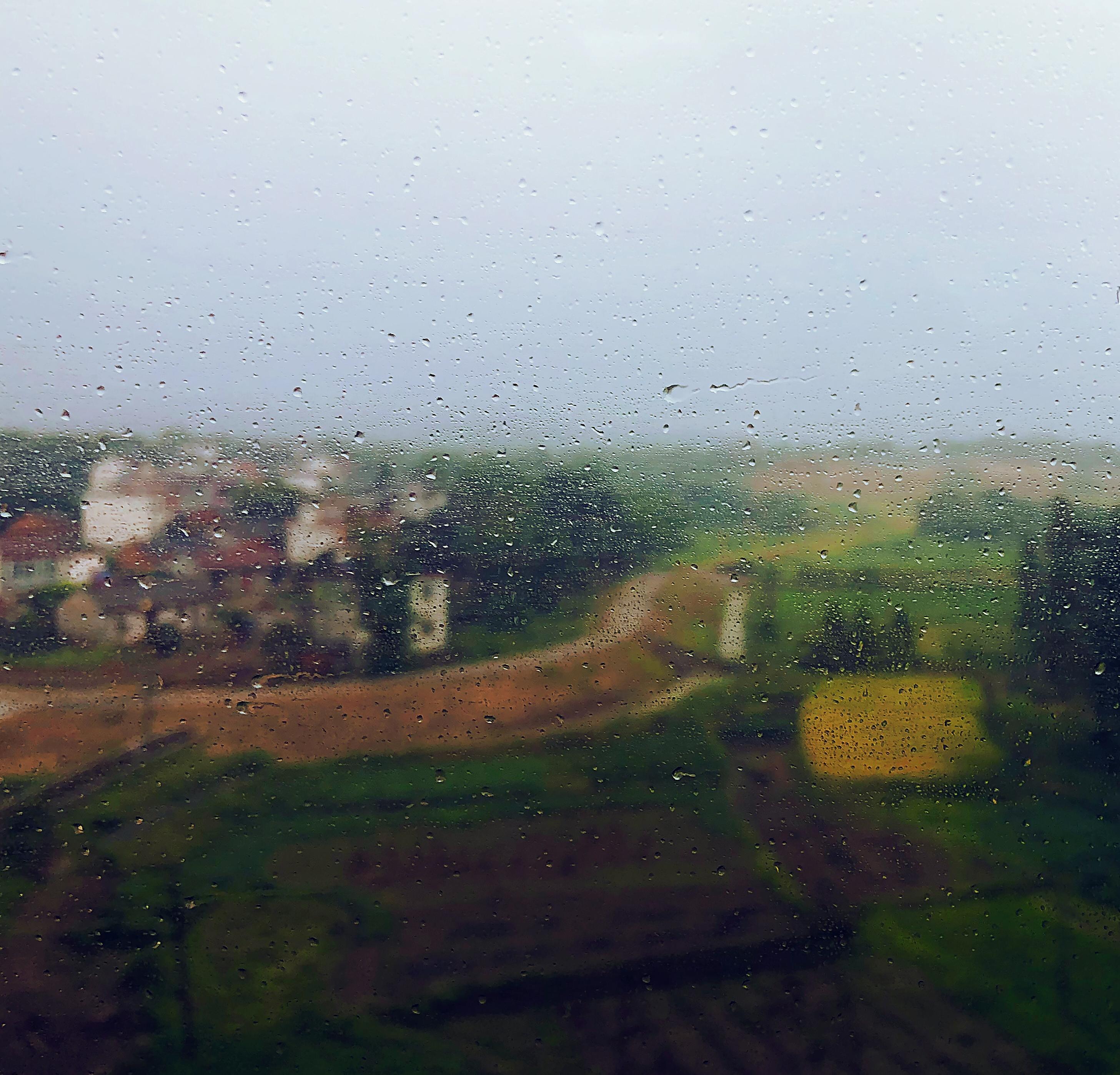 Soothing Rain in The Countryside: 8-Hour Serene Rainfall Sounds for Peaceful Sleep, Studying & Relaxation