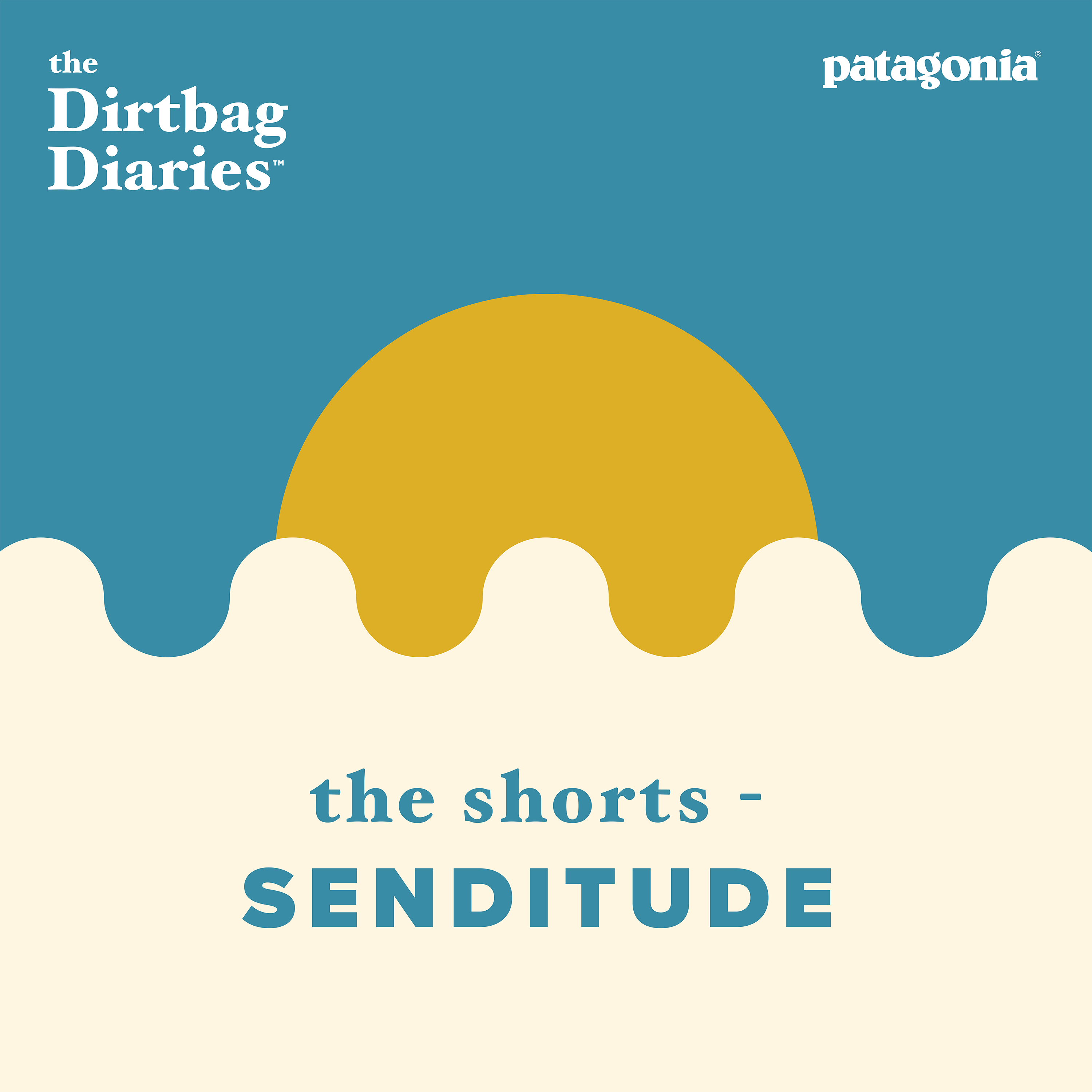 The Shorts--Senditude