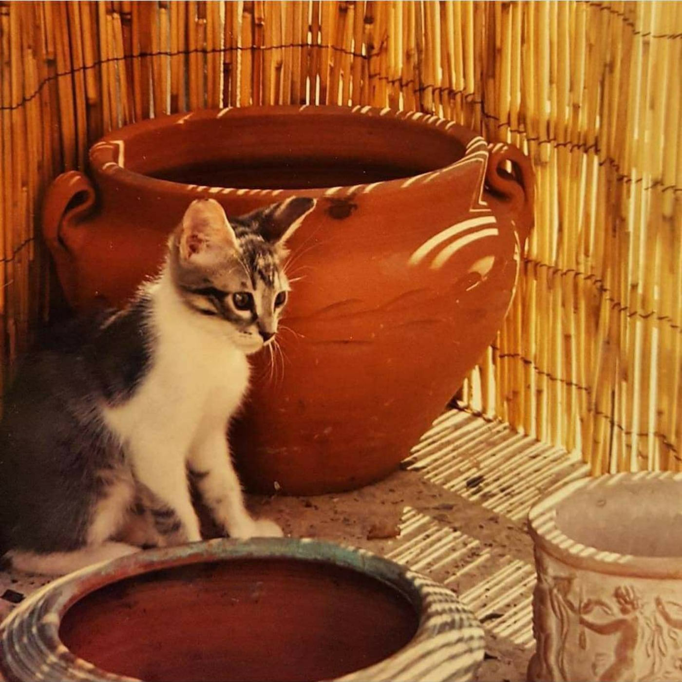 Troubadours and Raconteurs with E.W. Conundrum Demure - Conversation, Essays, Poetry & Music.