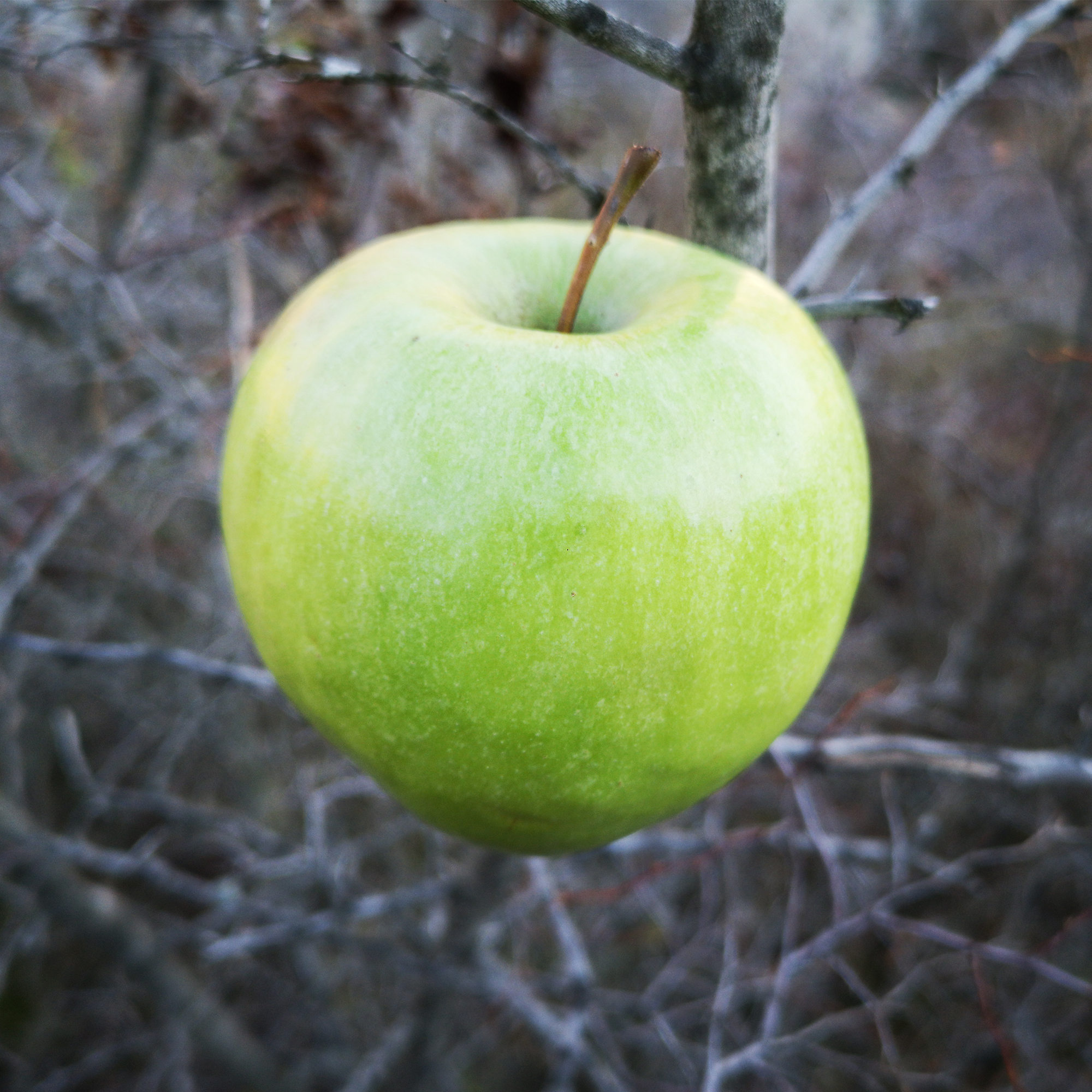 Thumbnail for "The Curse of Numb".