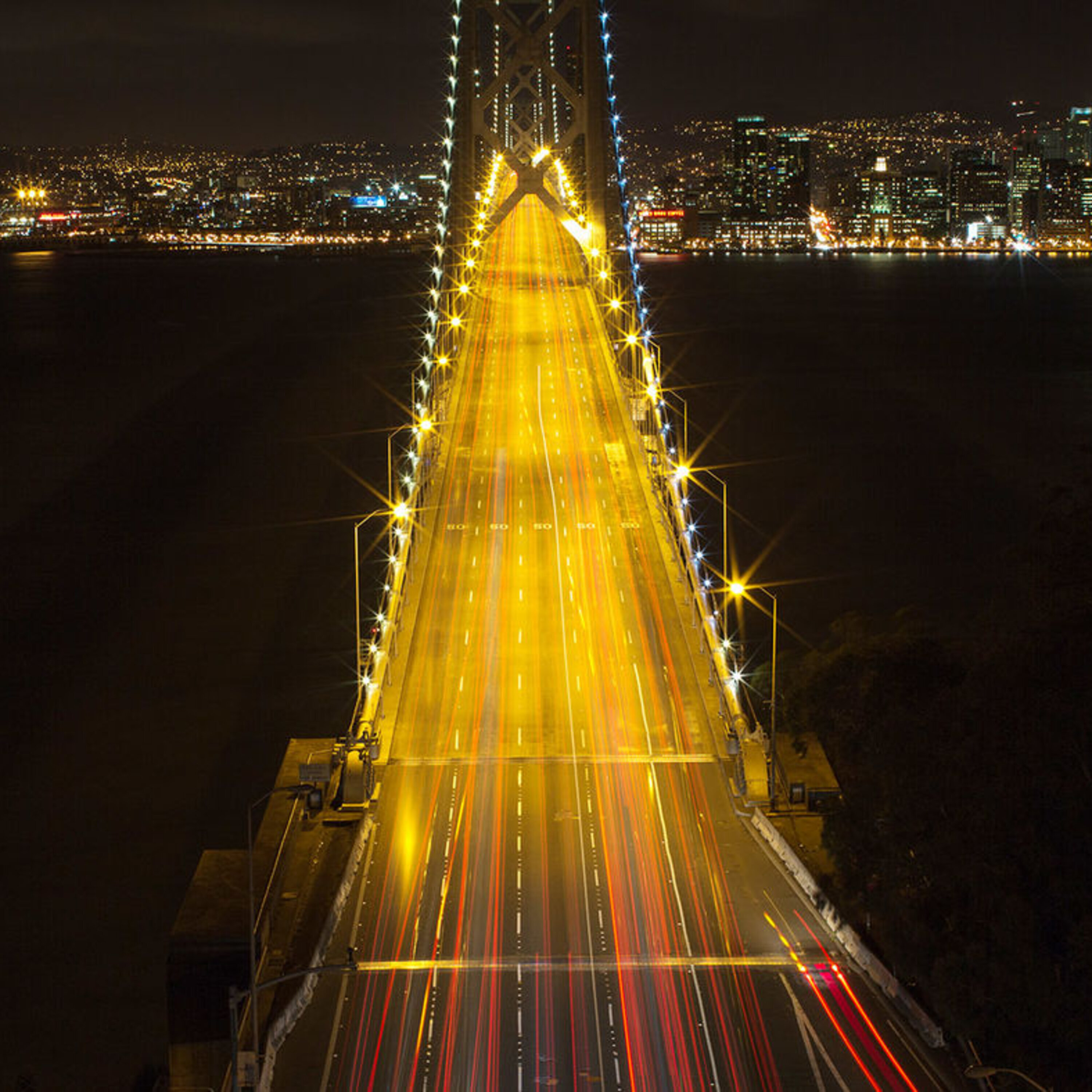 Probing the secrets of the feline mind and how Uber and Lyft may be making traffic worse