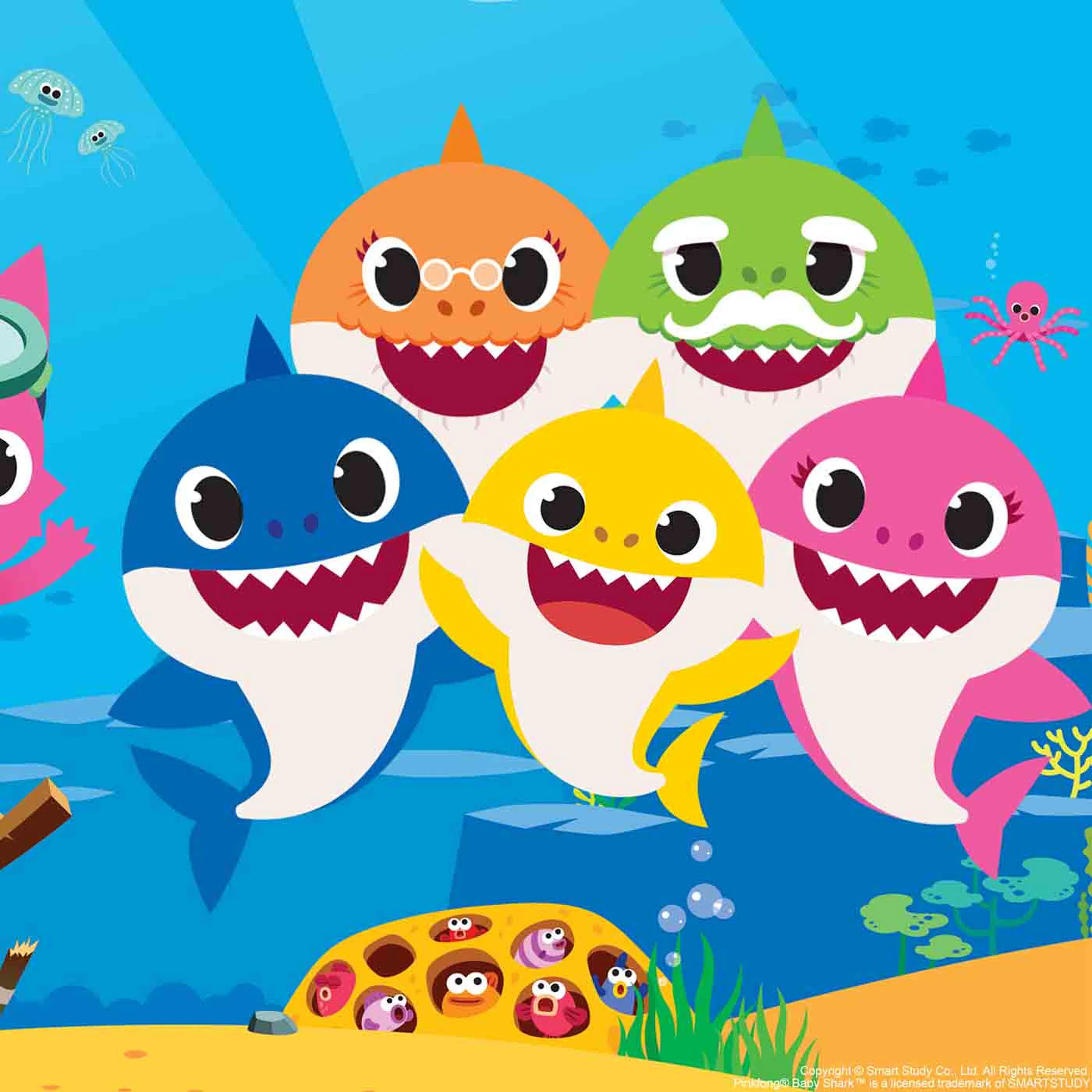 Qu'est-ce que Baby Shark ?