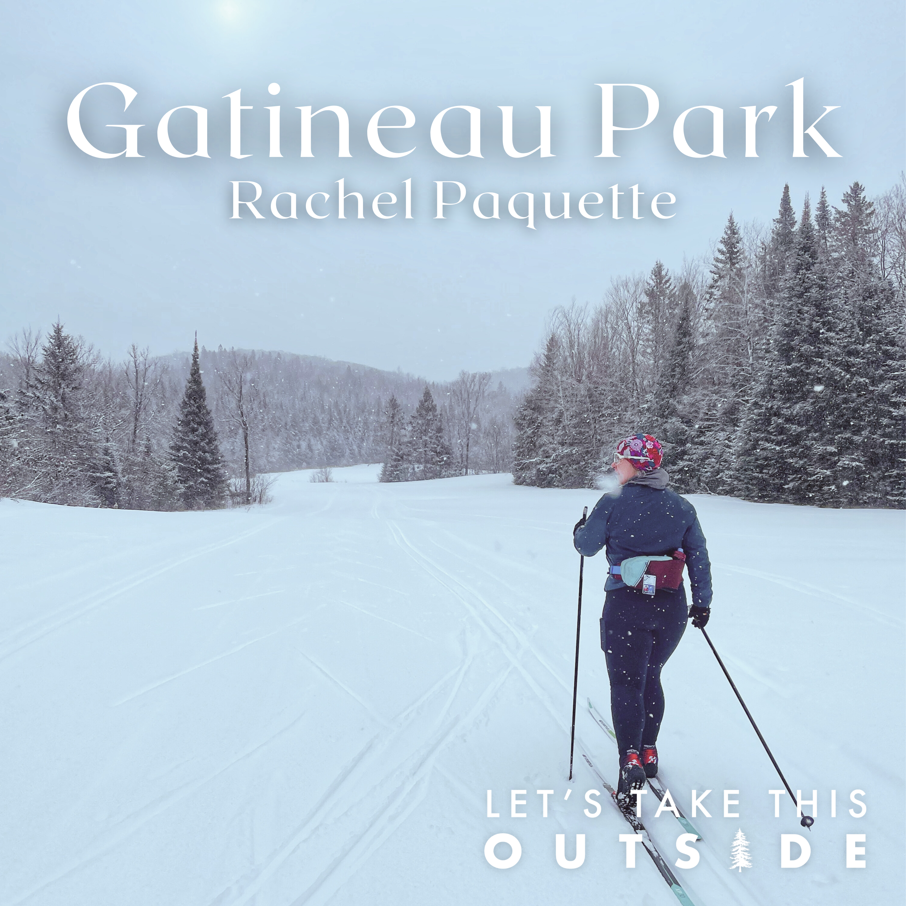 Gatineau Park - Rachel Paquette