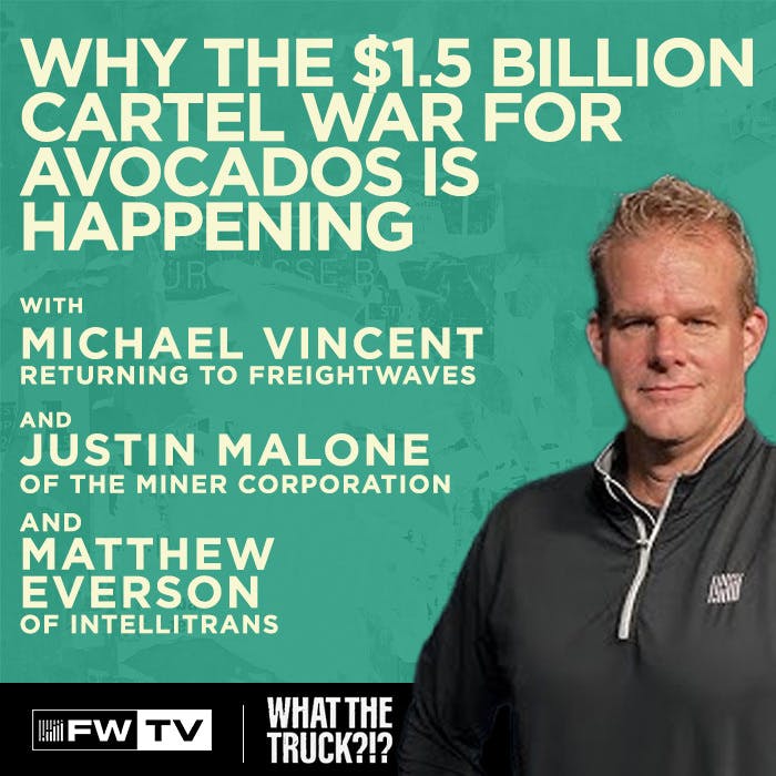 Why The $1.5 Billion Cartel War For Avocados Is Happening Why The $1.5 Billion Cartel War For Avocados Is Happening