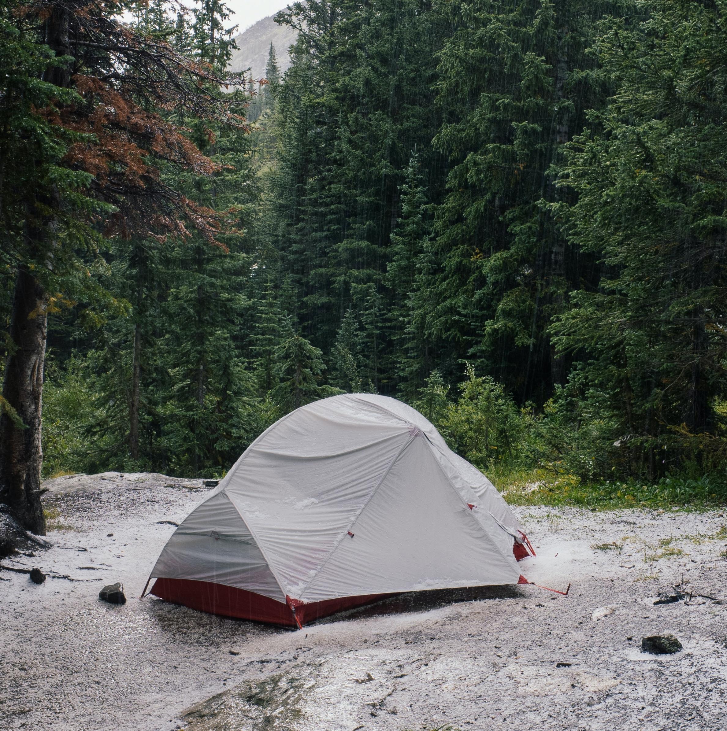 Rain Falling On Tent: 8-Hour Tranquil Camping Soundscape for Relaxation, Studying & Sleep