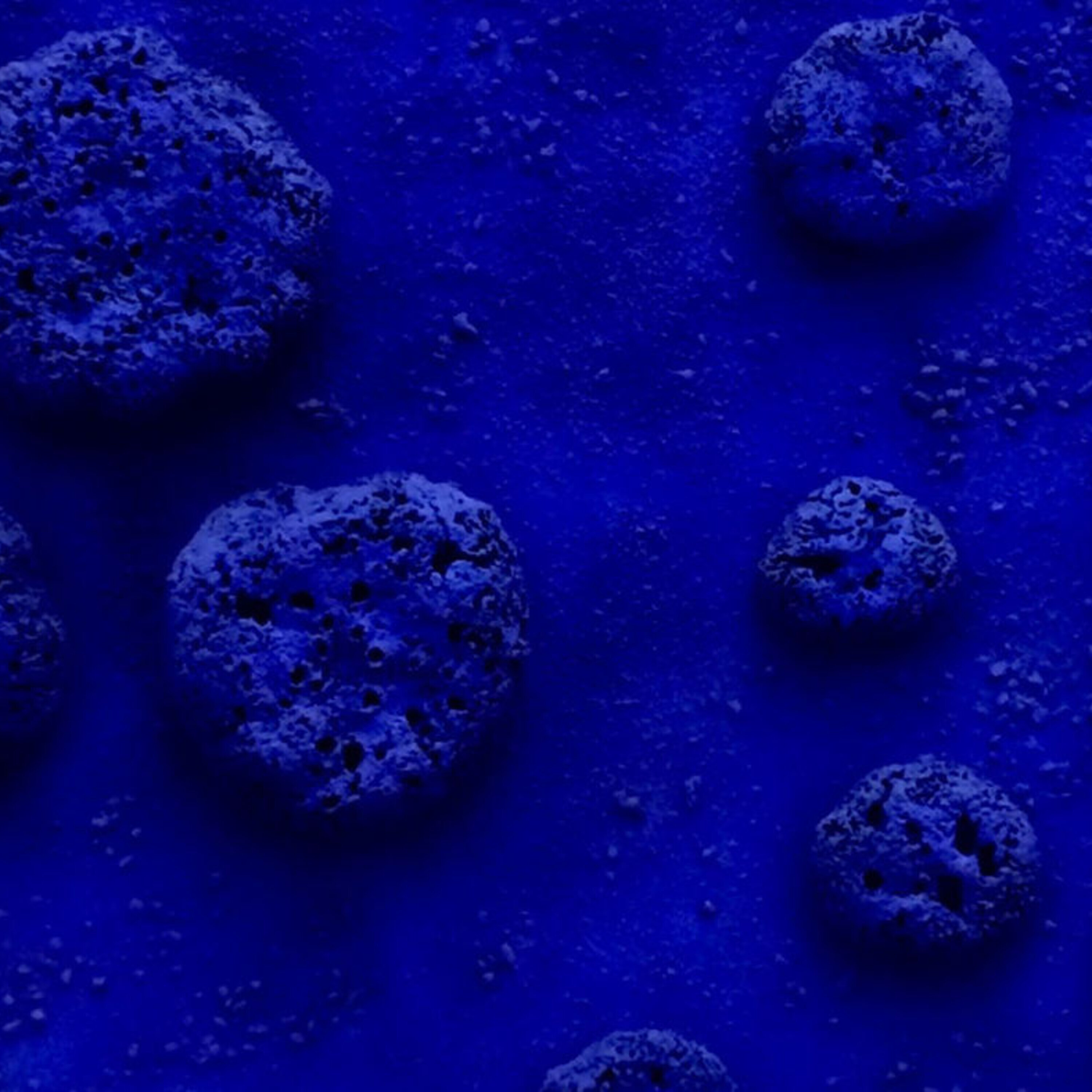 The age-old quest for the color blue and why pollution is not killing the killifish