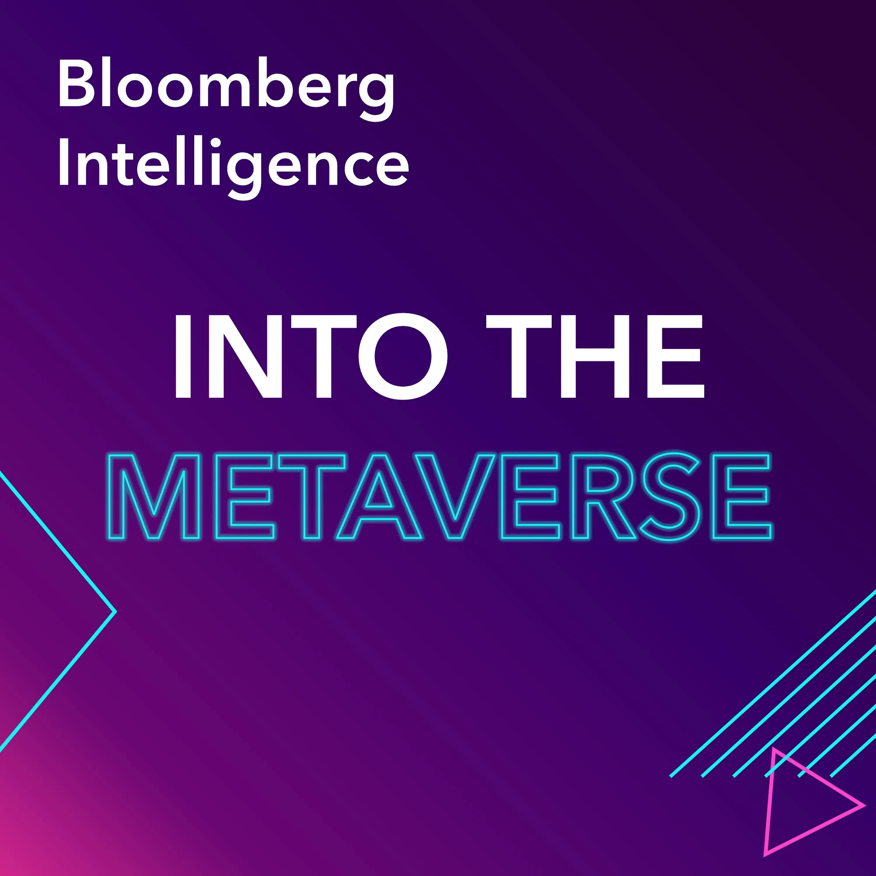 Into the Metaverse cover