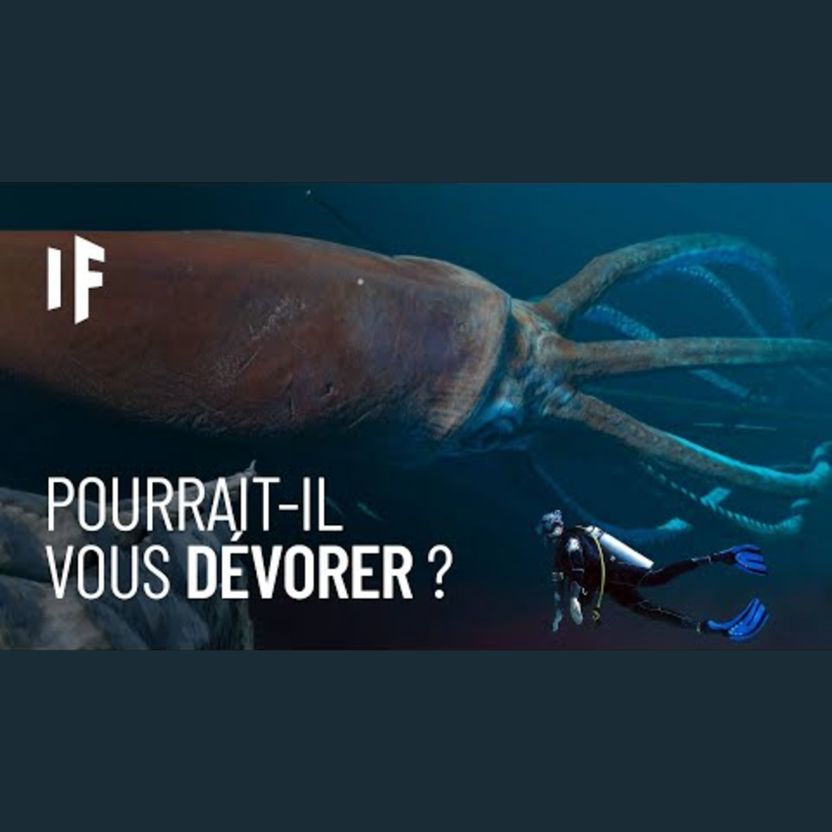 Et si vous étiez attaqué par un calmar géant ? episode artwork