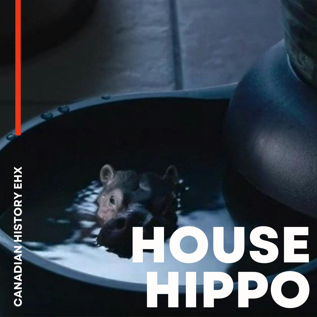 The House Hippo