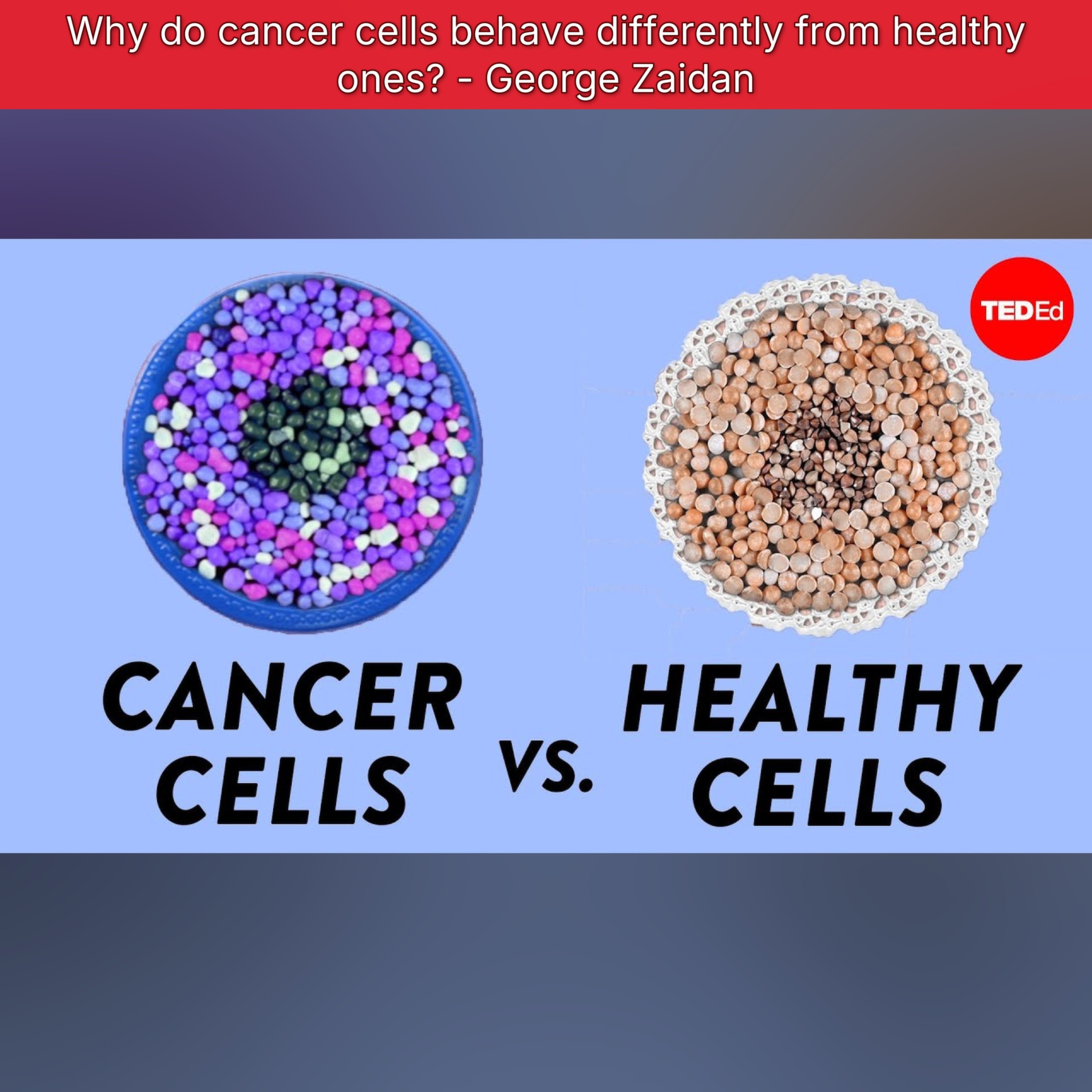 Why do cancer cells behave differently from healthy ones? - George Zaidan episode artwork