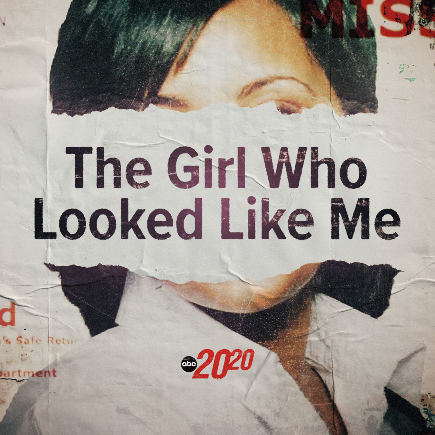 The Girl Who Looked Like Me