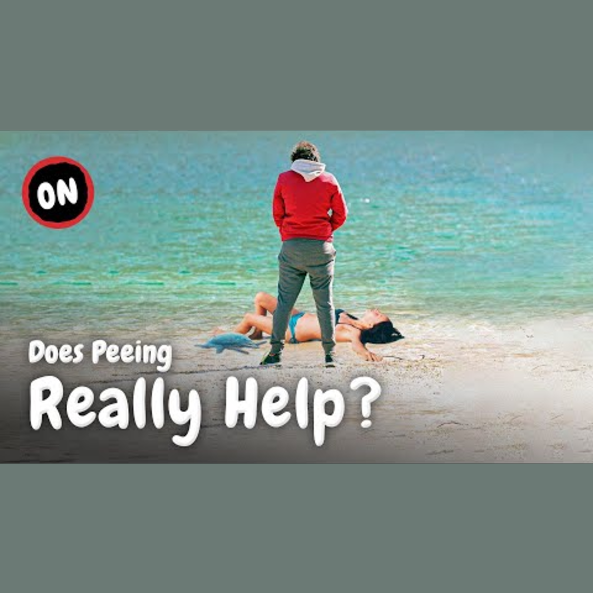 Surviving a Swarm of Box Jellyfish Stings episode artwork