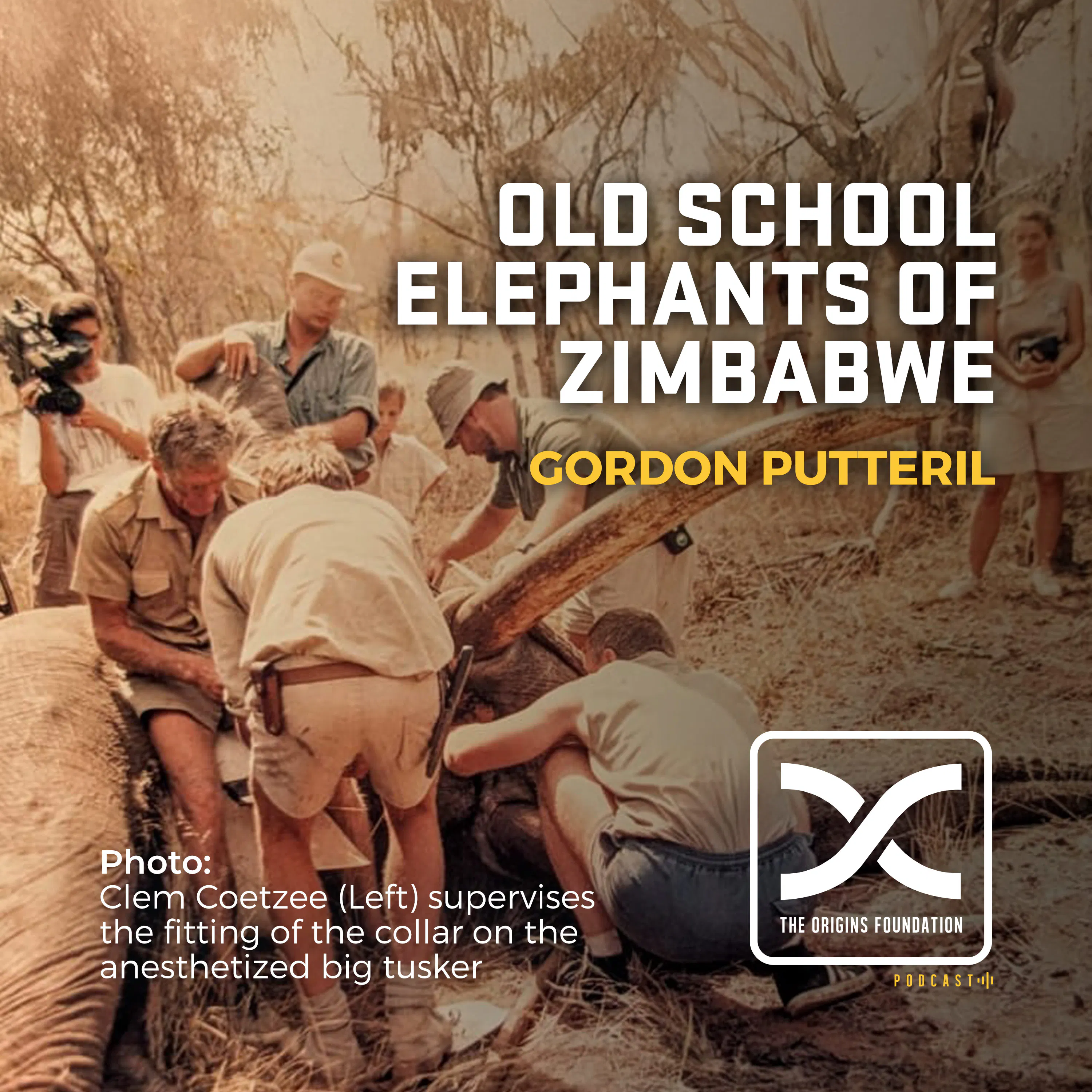 Episode 634 - Gordon Putteril || The Old School Elephants Of Zimbabwe episode artwork