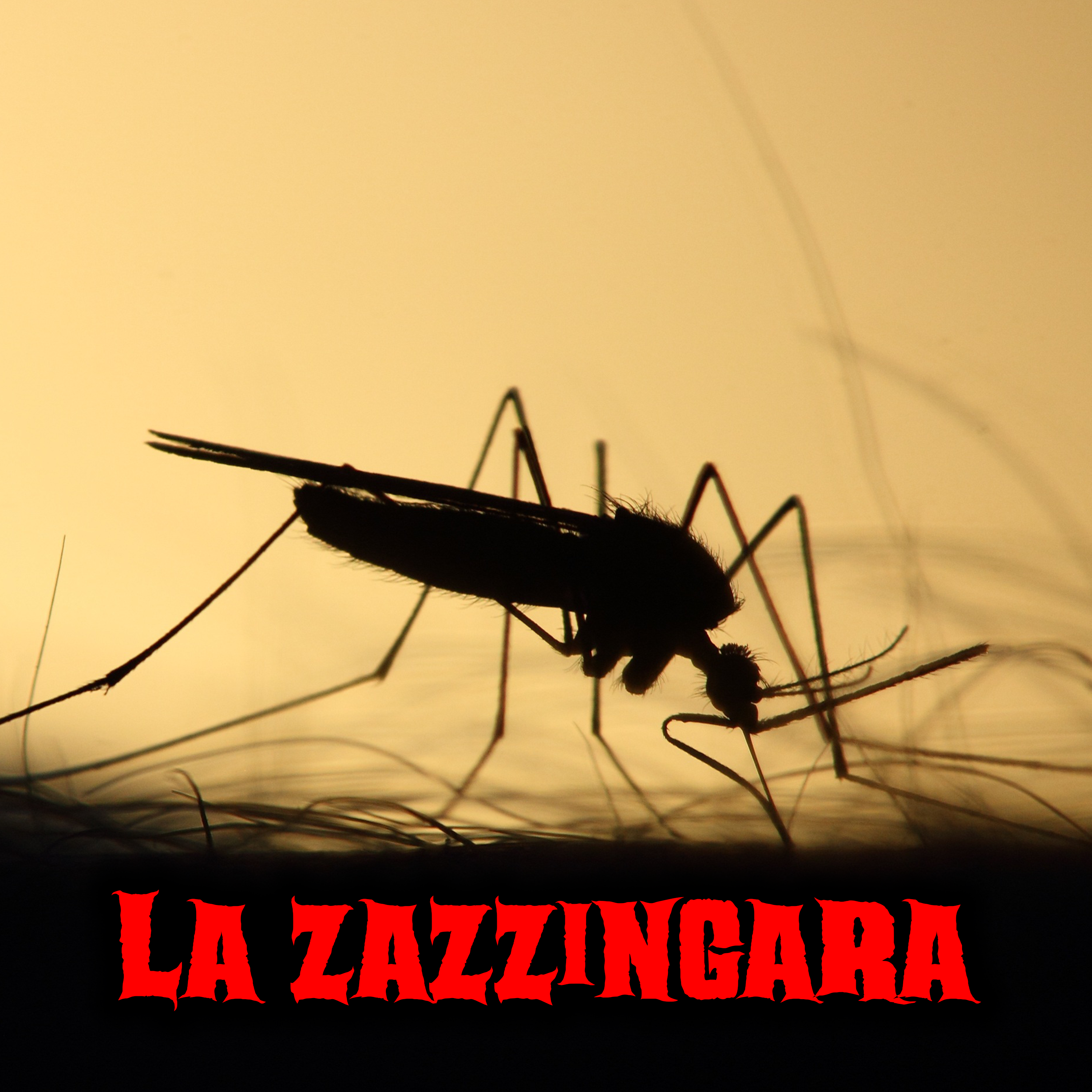 La zazzingara - Creepypasta episode artwork