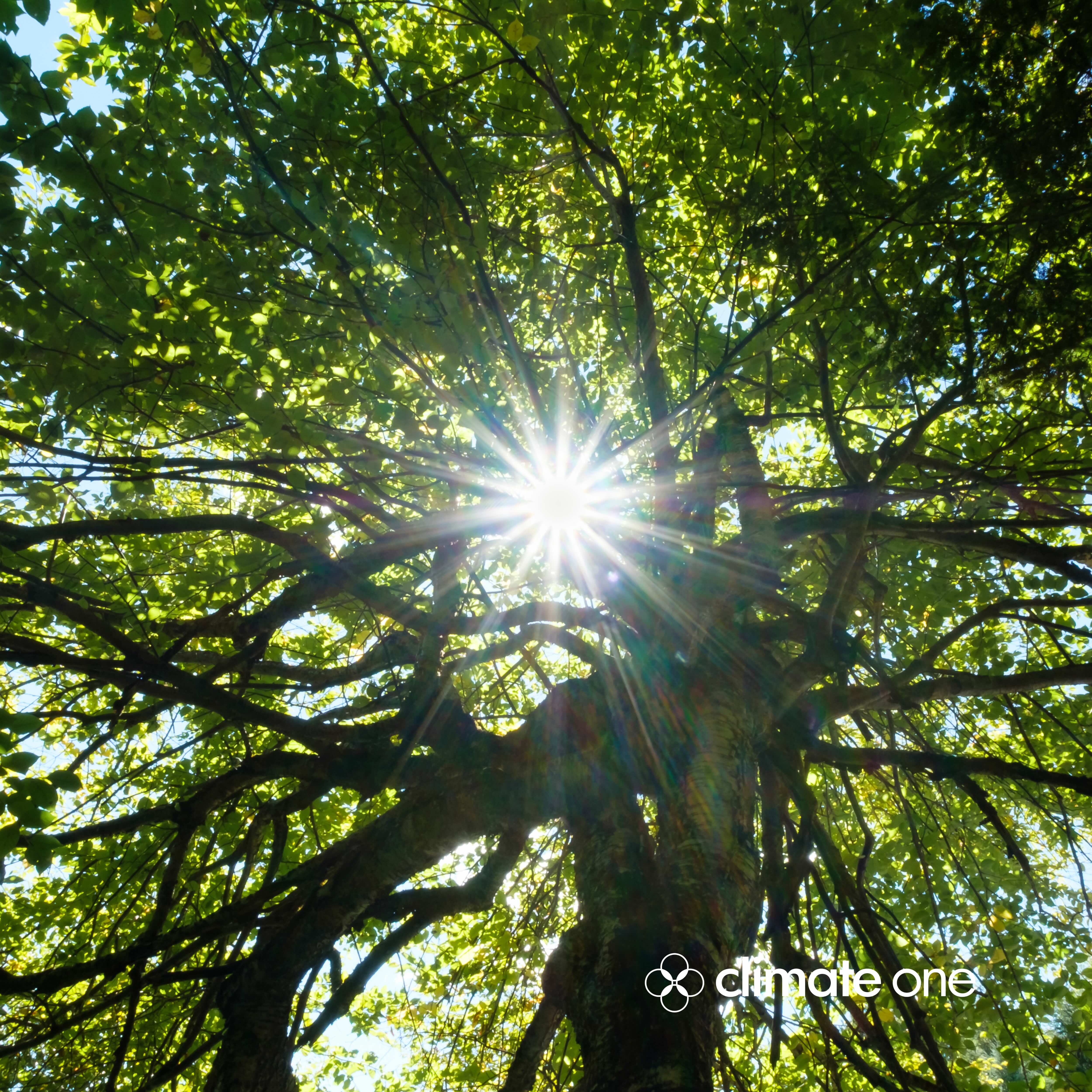 Three Big Thinkers With No Room for Doom