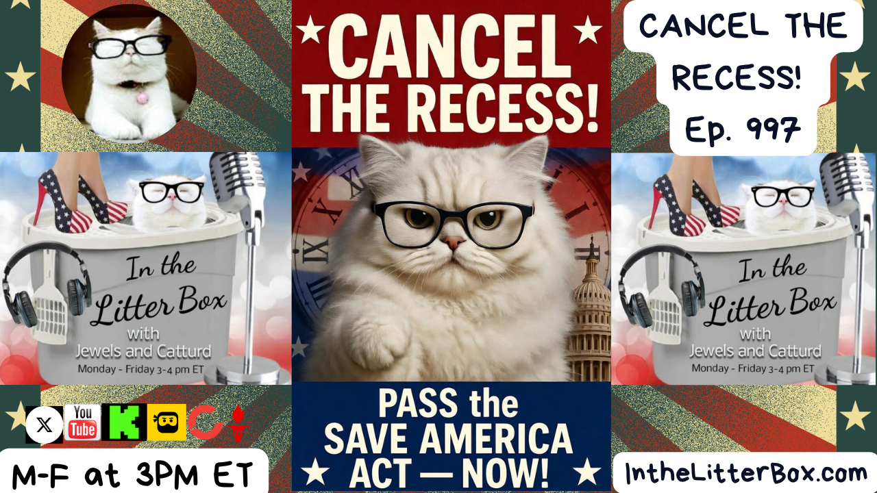 CANCEL THE RECESS! | In the Litter Box w/ Jewels Jones & Catturd – Ep. 997 3/27/2026