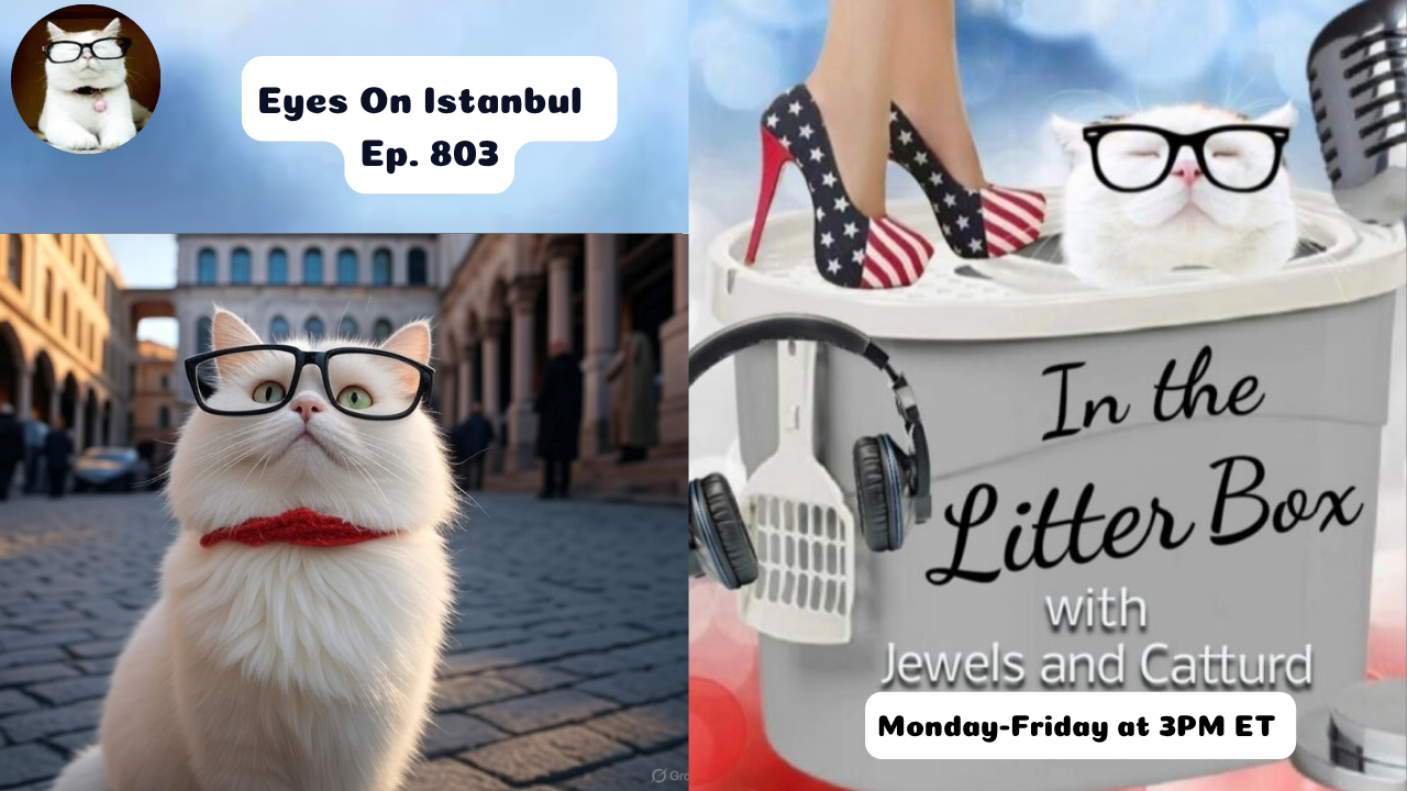 Eyes On Istanbul | In the Litter Box w/ Jewels & Catturd – Ep. 803 – 5/15/2025