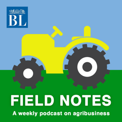 BusinessLine Podcasts