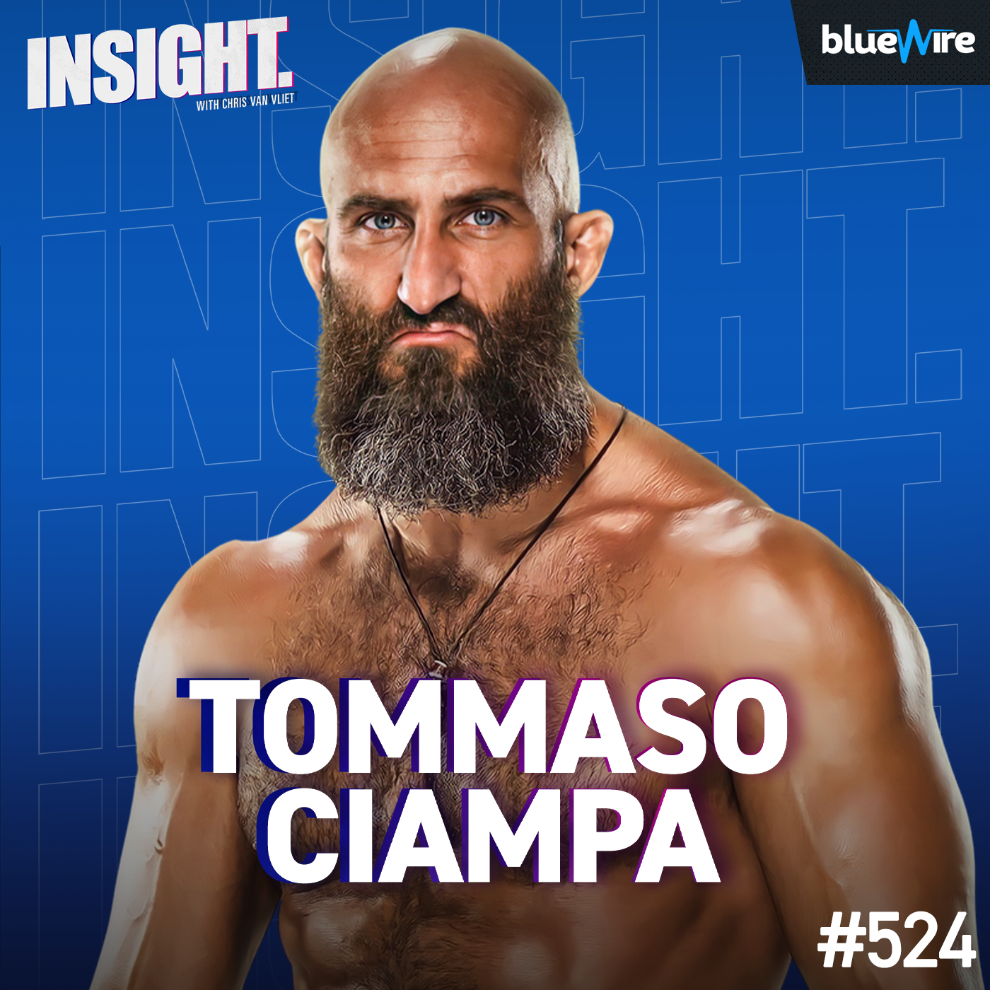 Tommaso Ciampa on Triple H, DIY, Johnny Gargano, Being Muhammad Hassan's Lawyer
