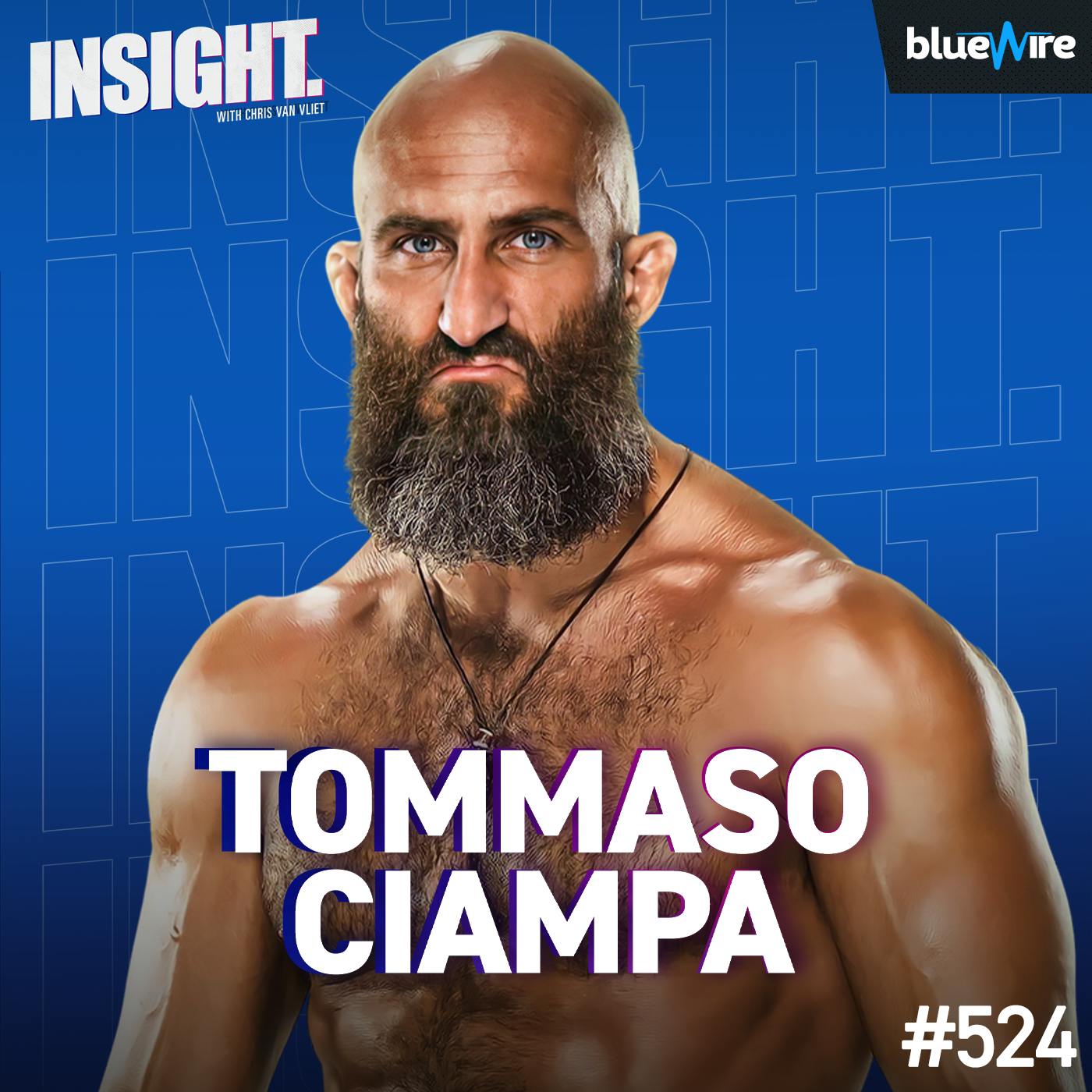 Tommaso Ciampa on Triple H, DIY, Johnny Gargano, Being Muhammad Hassan's Lawyer