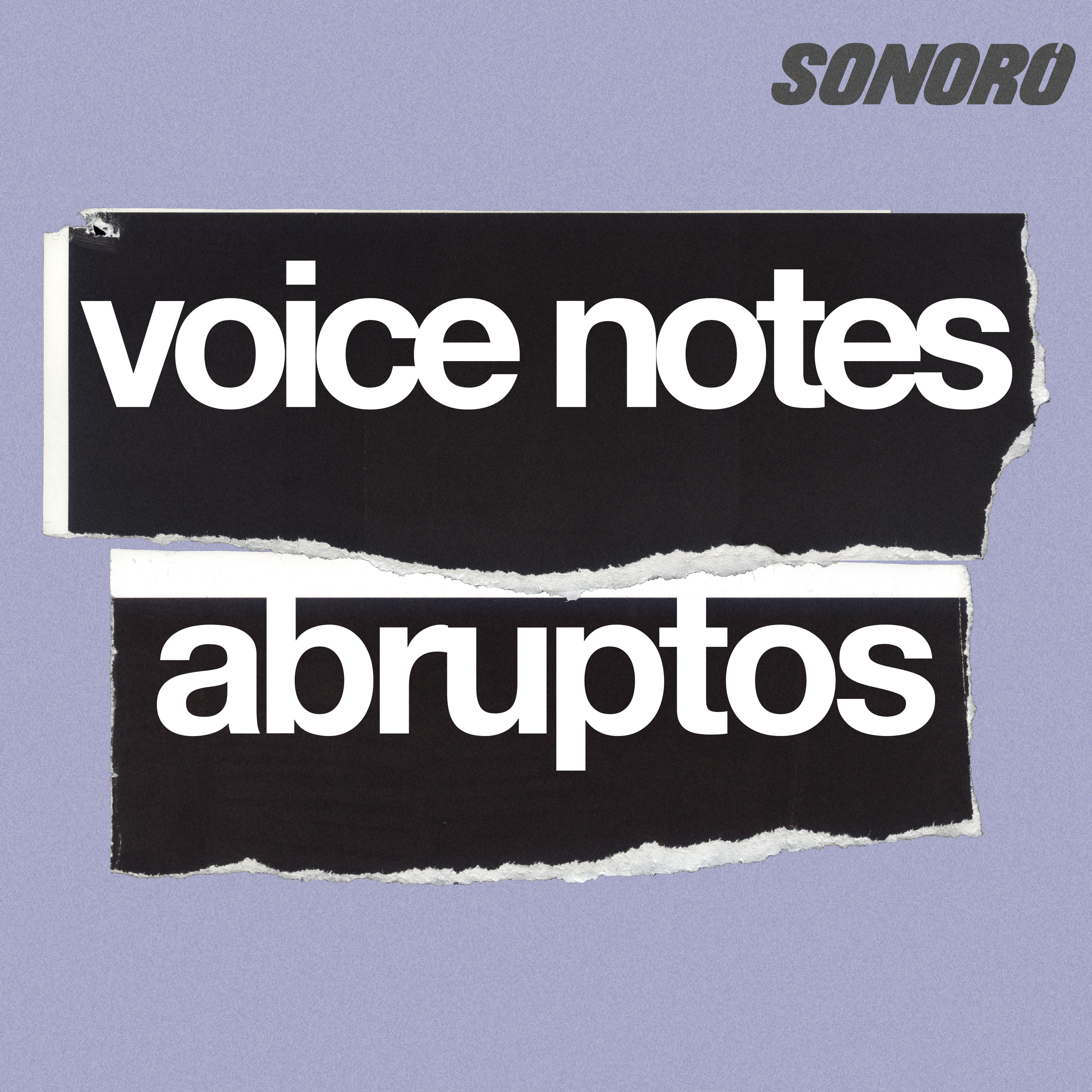 Liga de Beisbol Profesional Femenil en Estados Unidos - Voice Note Abrupto