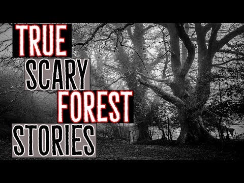 True Scary Forest Stories: Featuring SlumberReads episode artwork