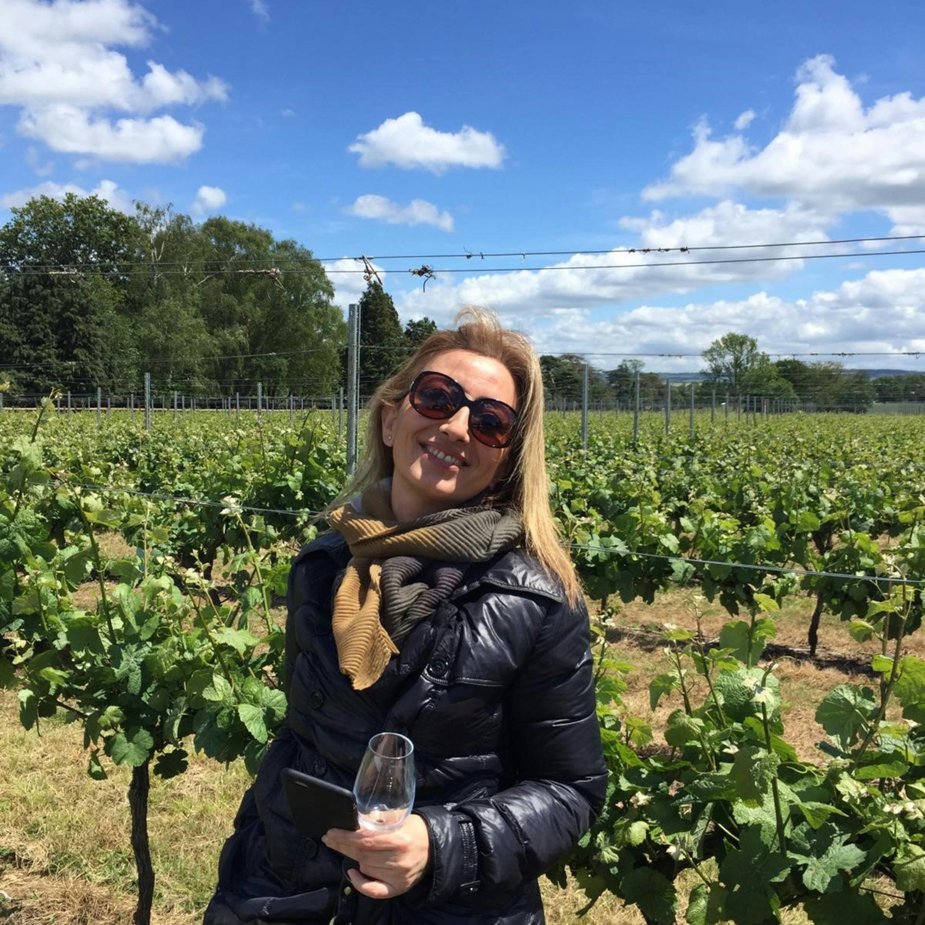 Güzel Şarap Ülkelerinde - Pınar Akkaya Anlatıyor