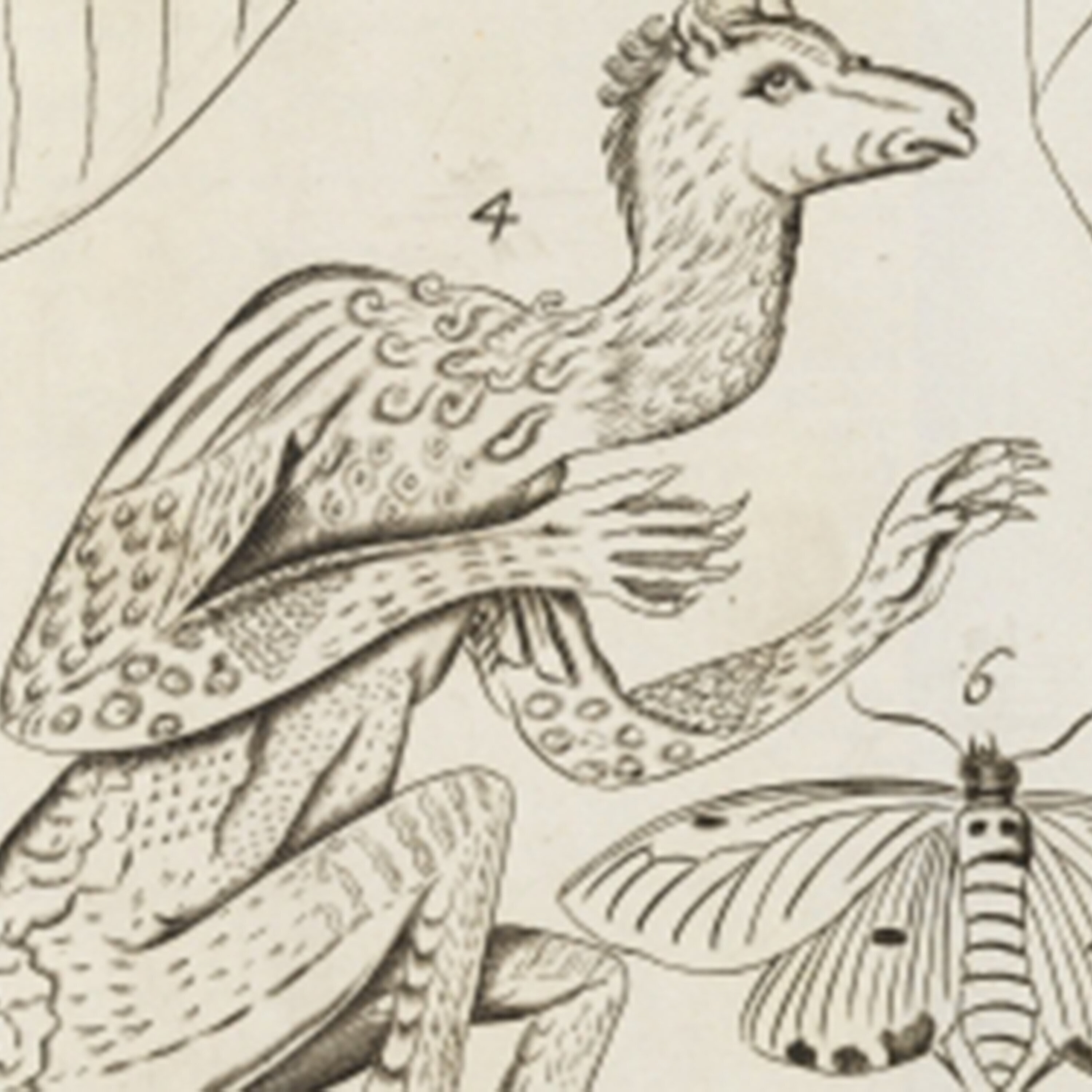 A radioactive waste standoff and science’s debt to the slave trade