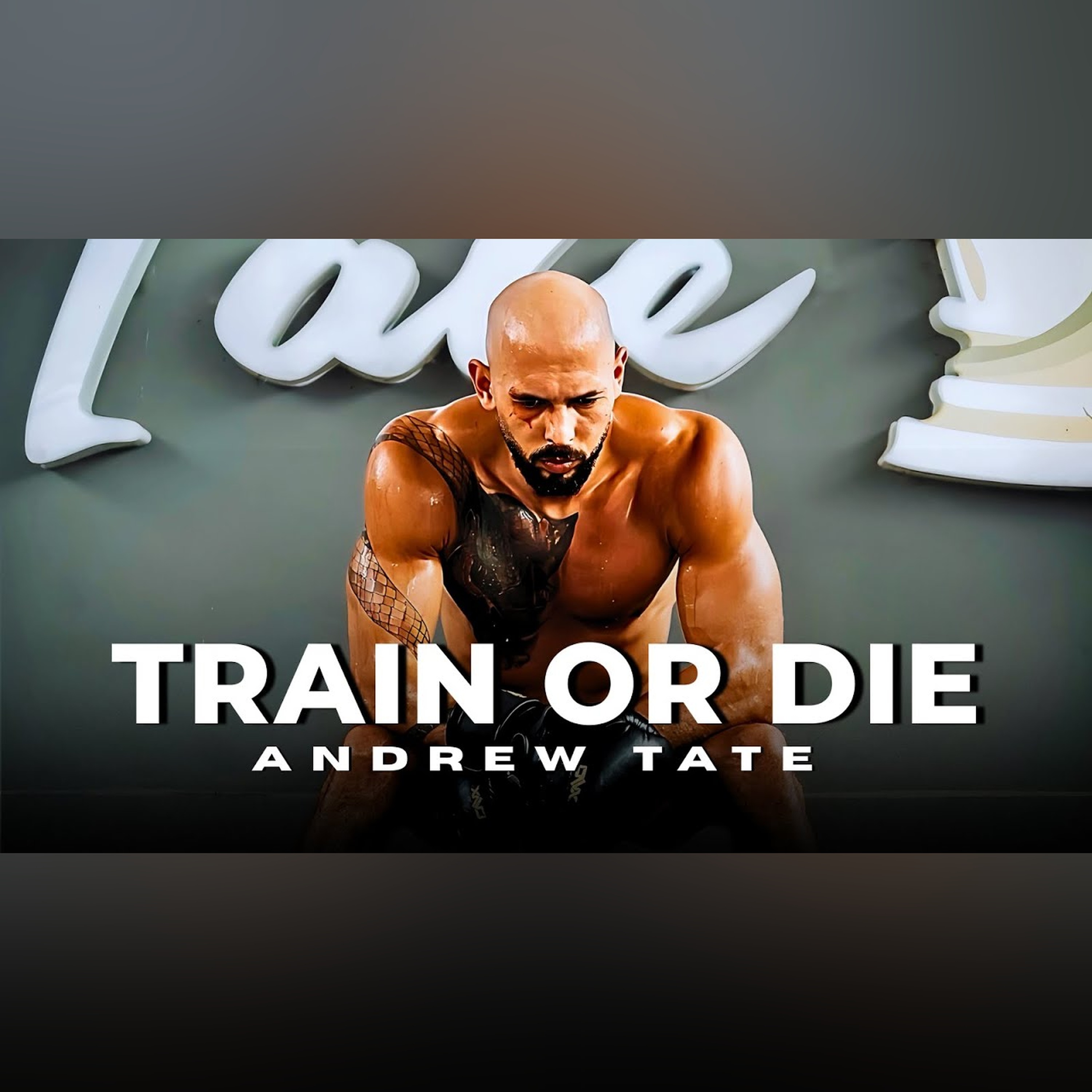 NEVER QUIT, NEVER STOP - Andrew Tate Powerful Motivation 2025 (25 Min)