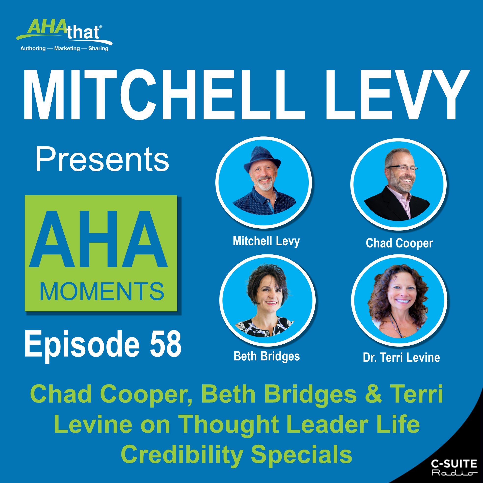 Mitchell Levy Presents AHA Moments