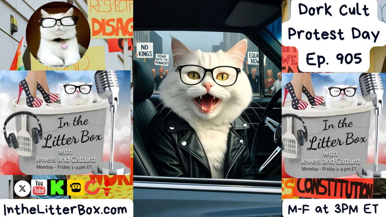 Dork Cult Protest Day | In the Litter Box w/ Jewels & Catturd – Ep. 905 – 10/20/2025