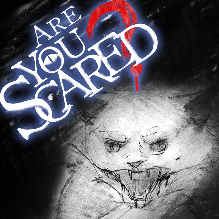 Are You Scared of Cats?