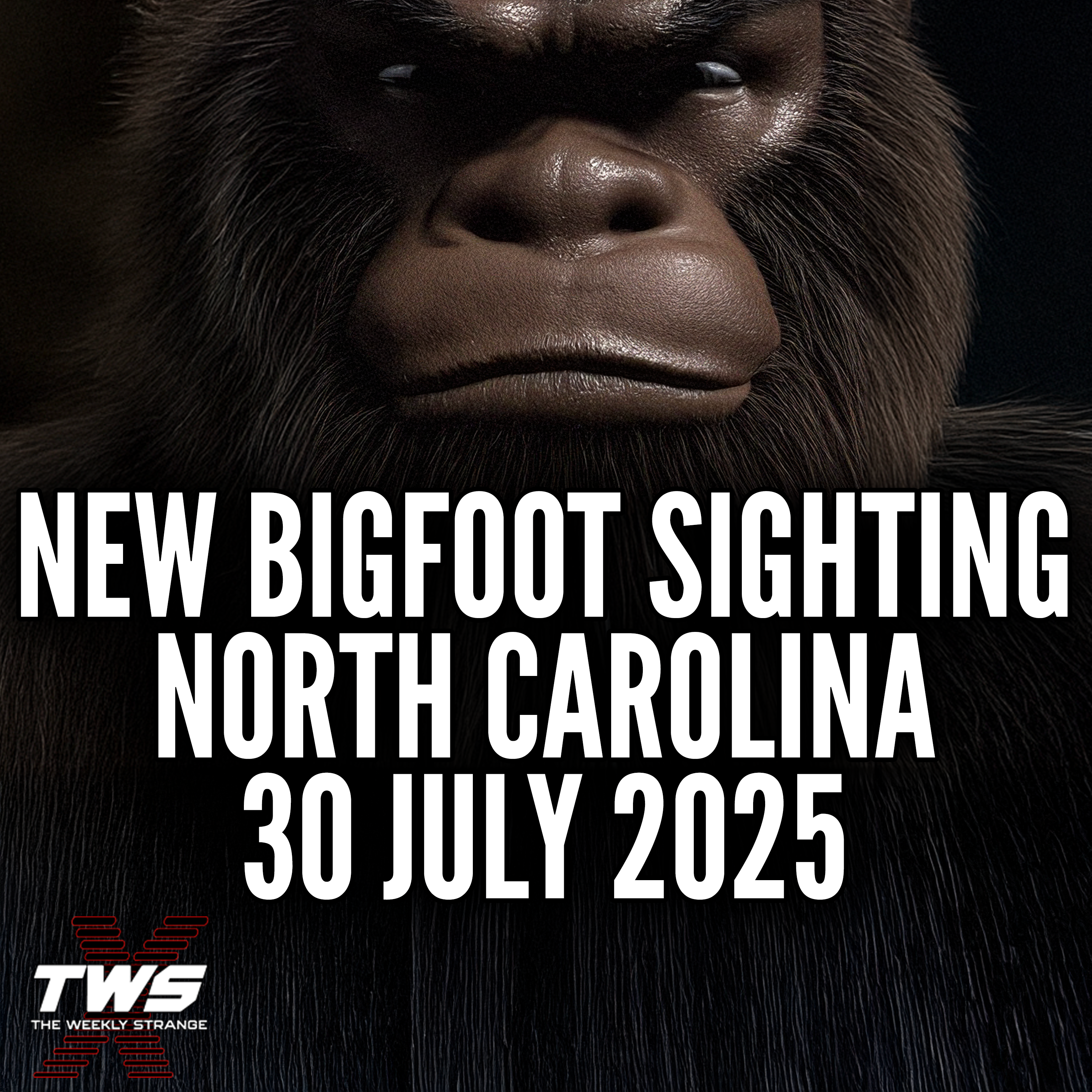 SHOCKING Bigfoot Sighting on NC Highway (Daylight) on 30 July 2025 - THE WEEKLY STRANGE Episode 29 episode artwork