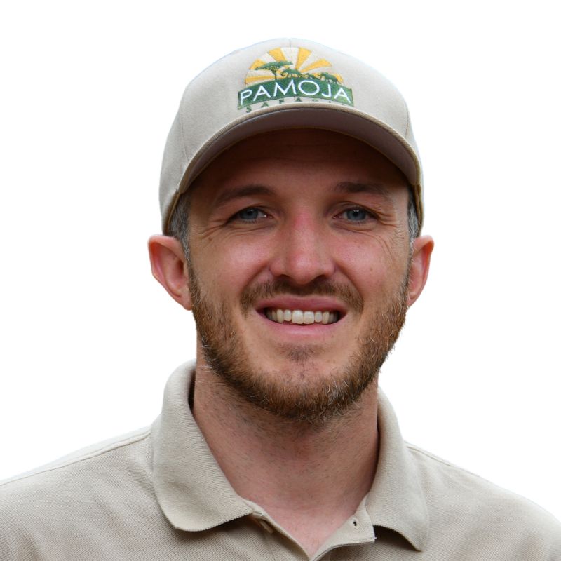 322: Evading Bandits in Ethiopia, Eating Japan, and Launching "Asa Tea" with Scott Brills.