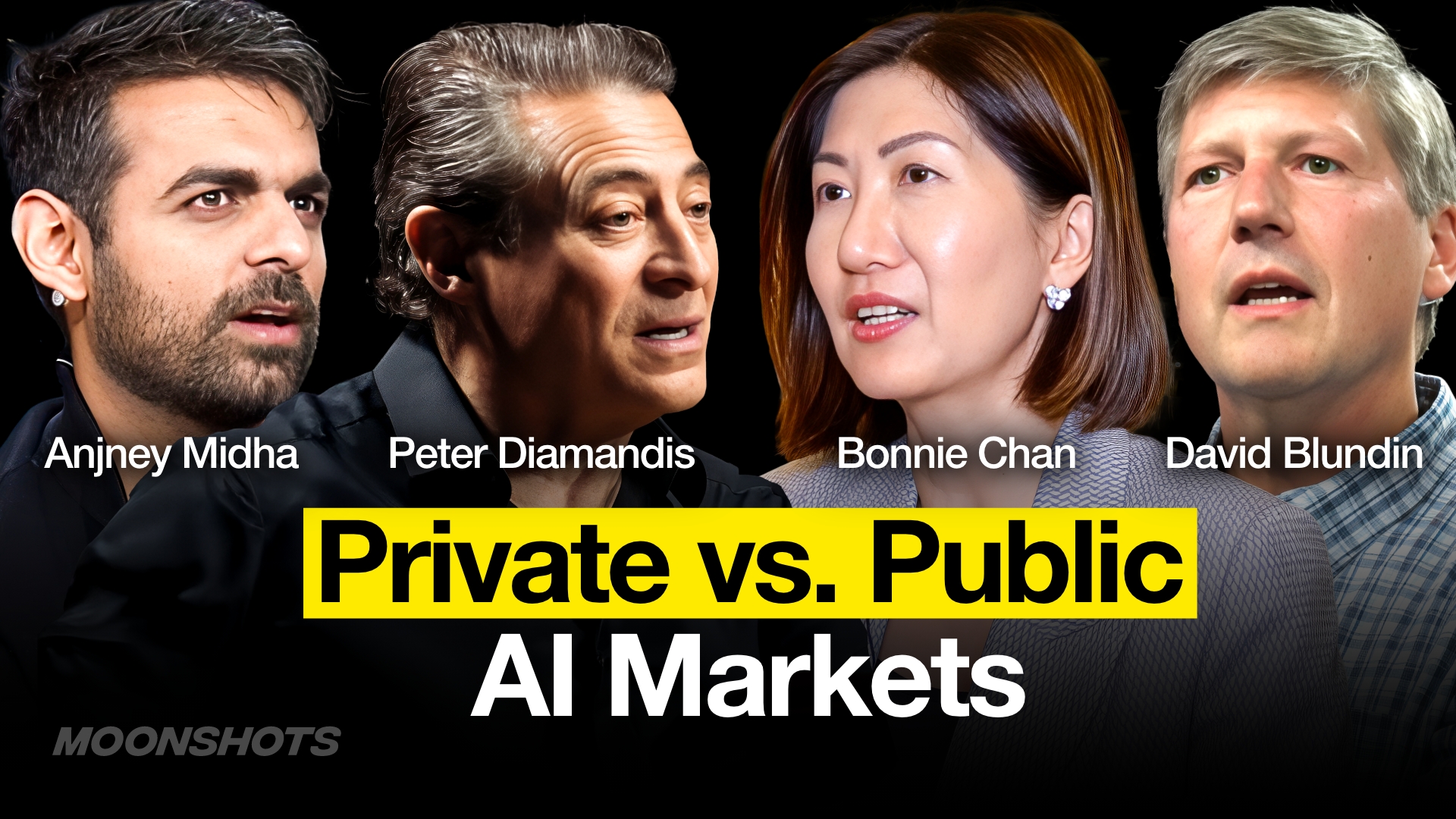 AI Investor Panel: How Will We Fund the Global AI Revolution? | EP 219