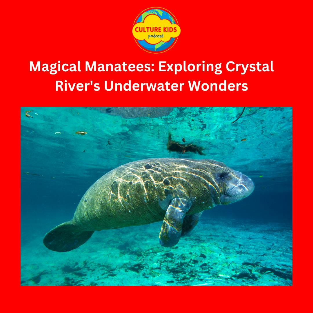 [ARCHIVE EPISODE] Magical Manatees: Exploring Crystal River's Underwater Wonders