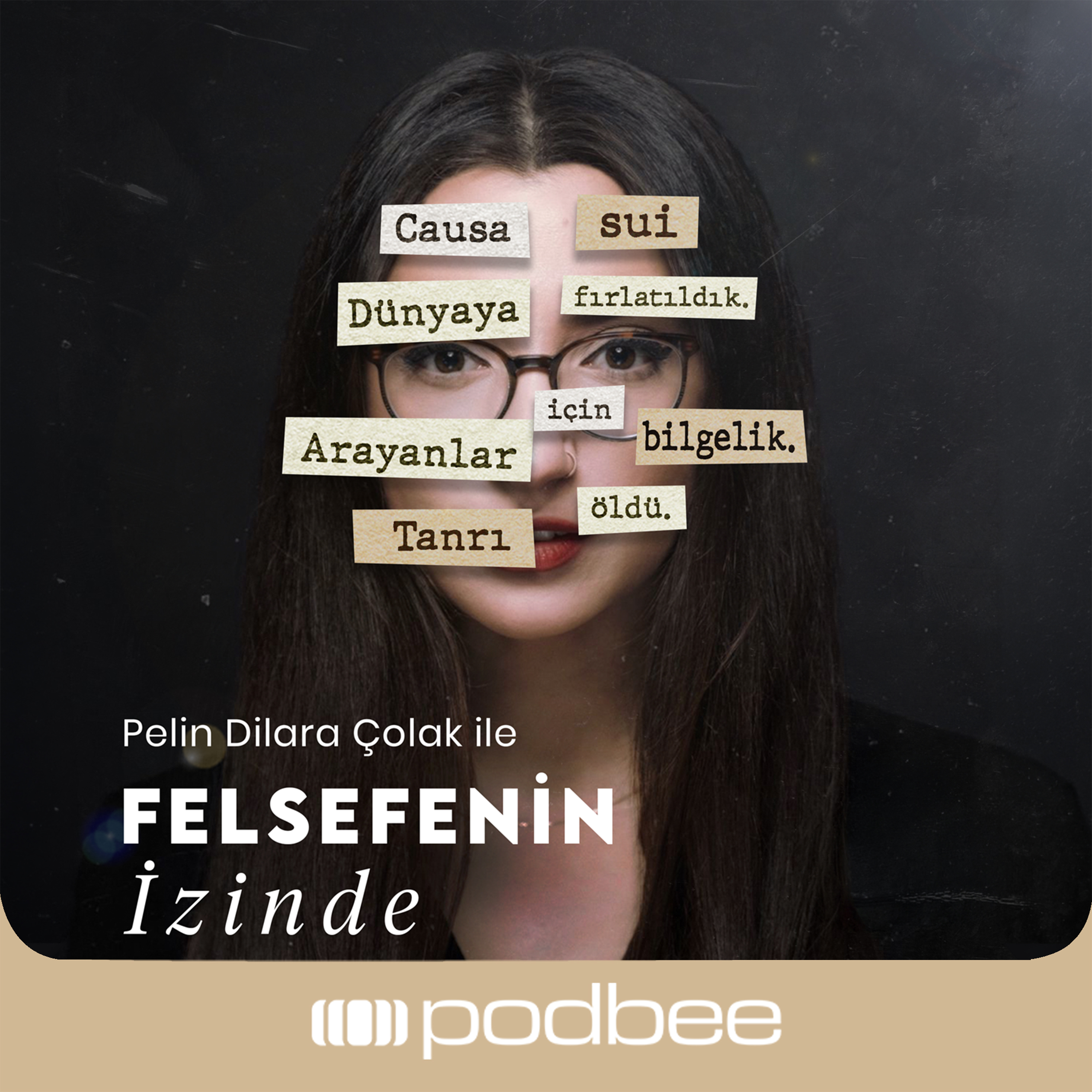 Felsefenin İzinde podcast artwork