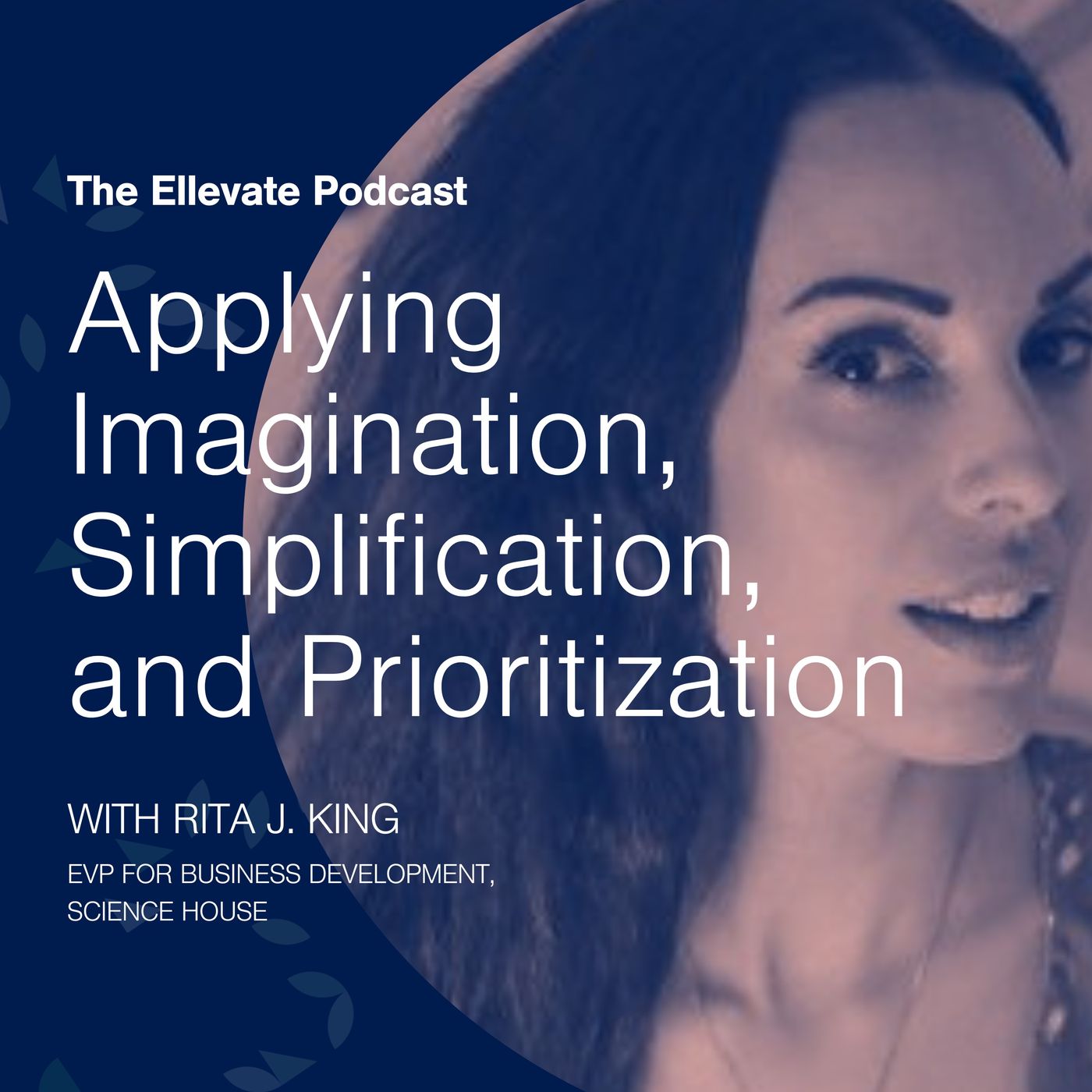 Episode 368: Applying Imagination, Simplification, and Prioritization, with Rita J. King episode artwork
