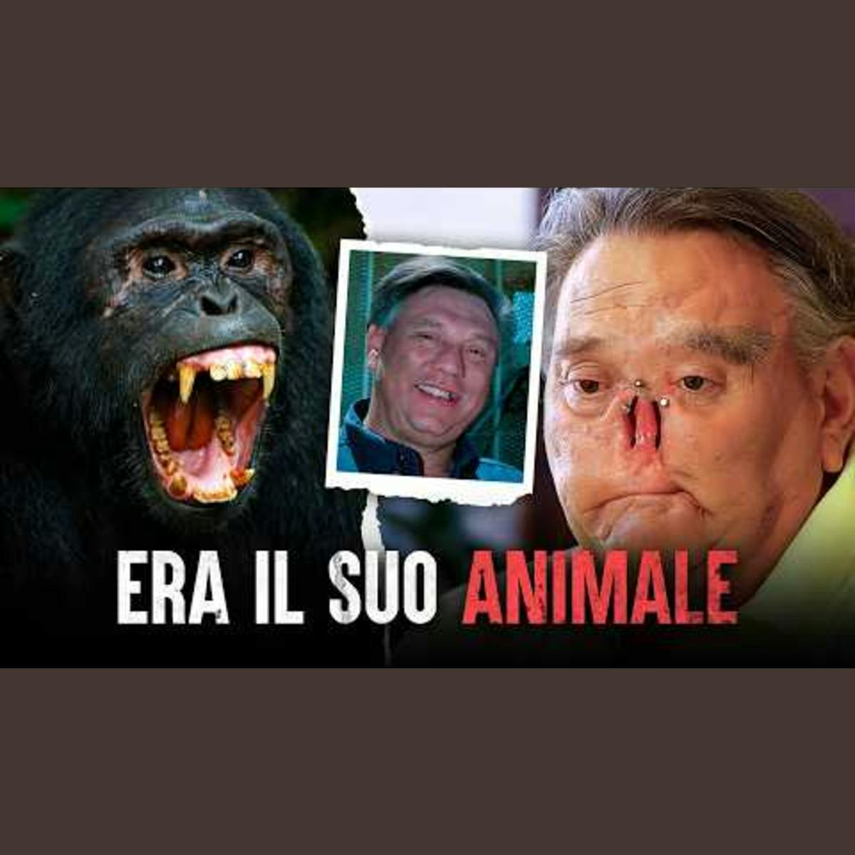 Gli attacchi più letali di scimmie: la tragedia di James Davis Gli attacchi più letali di scimmie: la tragedia di James Davis