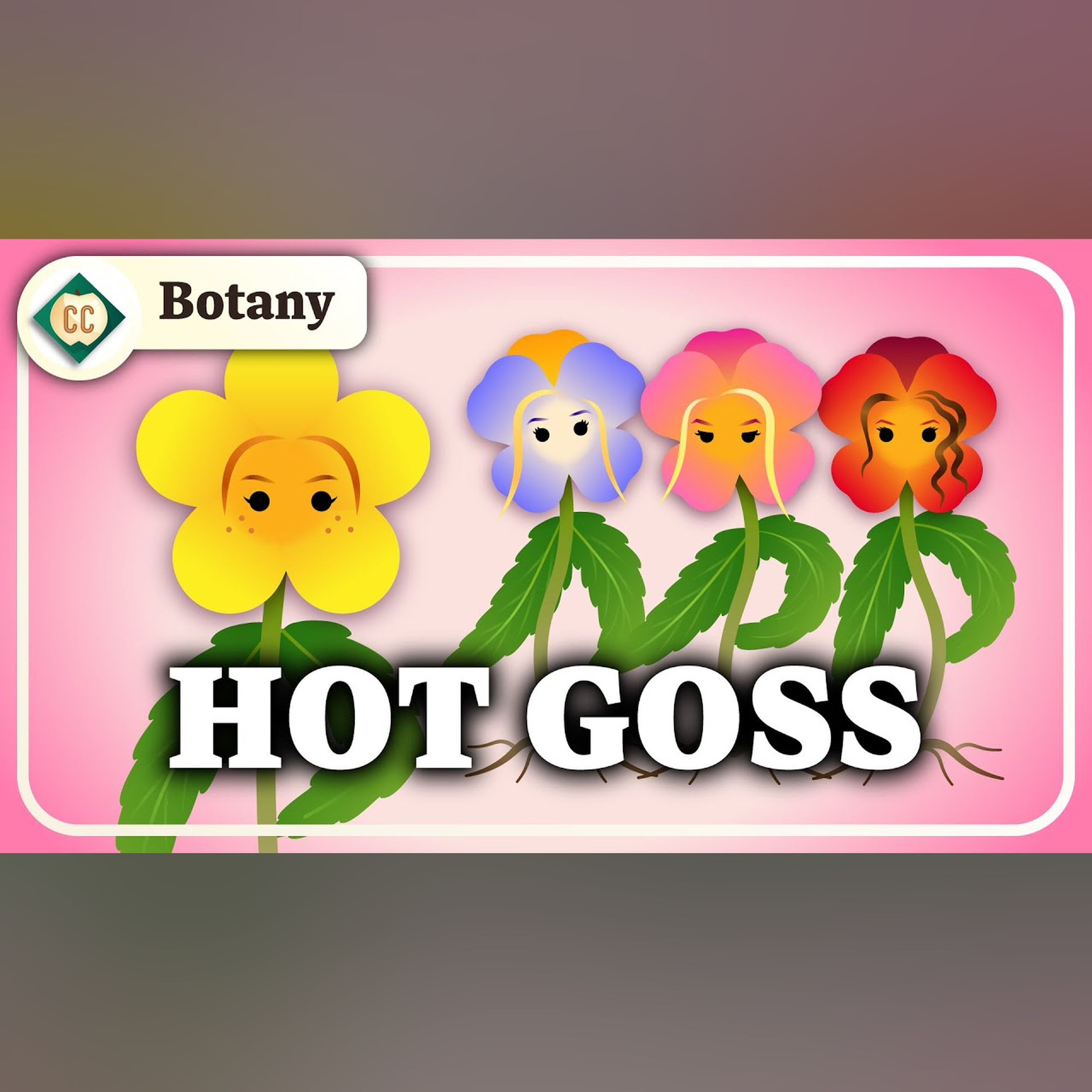 The Secret Social Lives of Plants (Population and Community Ecology): Crash Course Botany #12