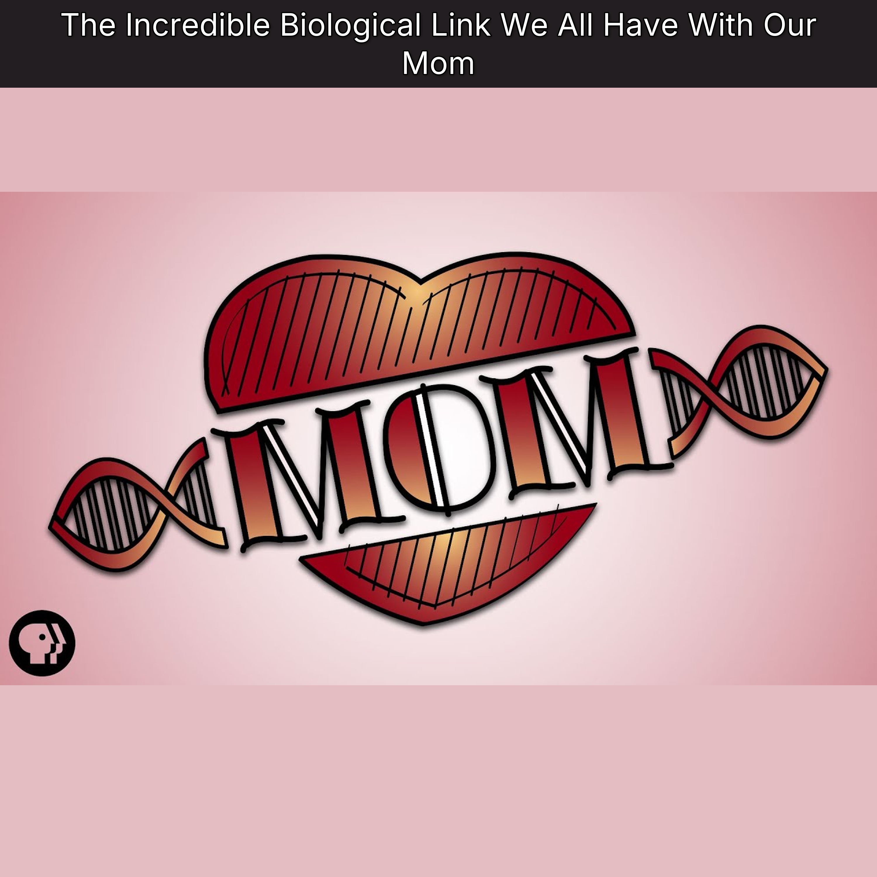 The Incredible Biological Link We All Have With Our Mom episode artwork