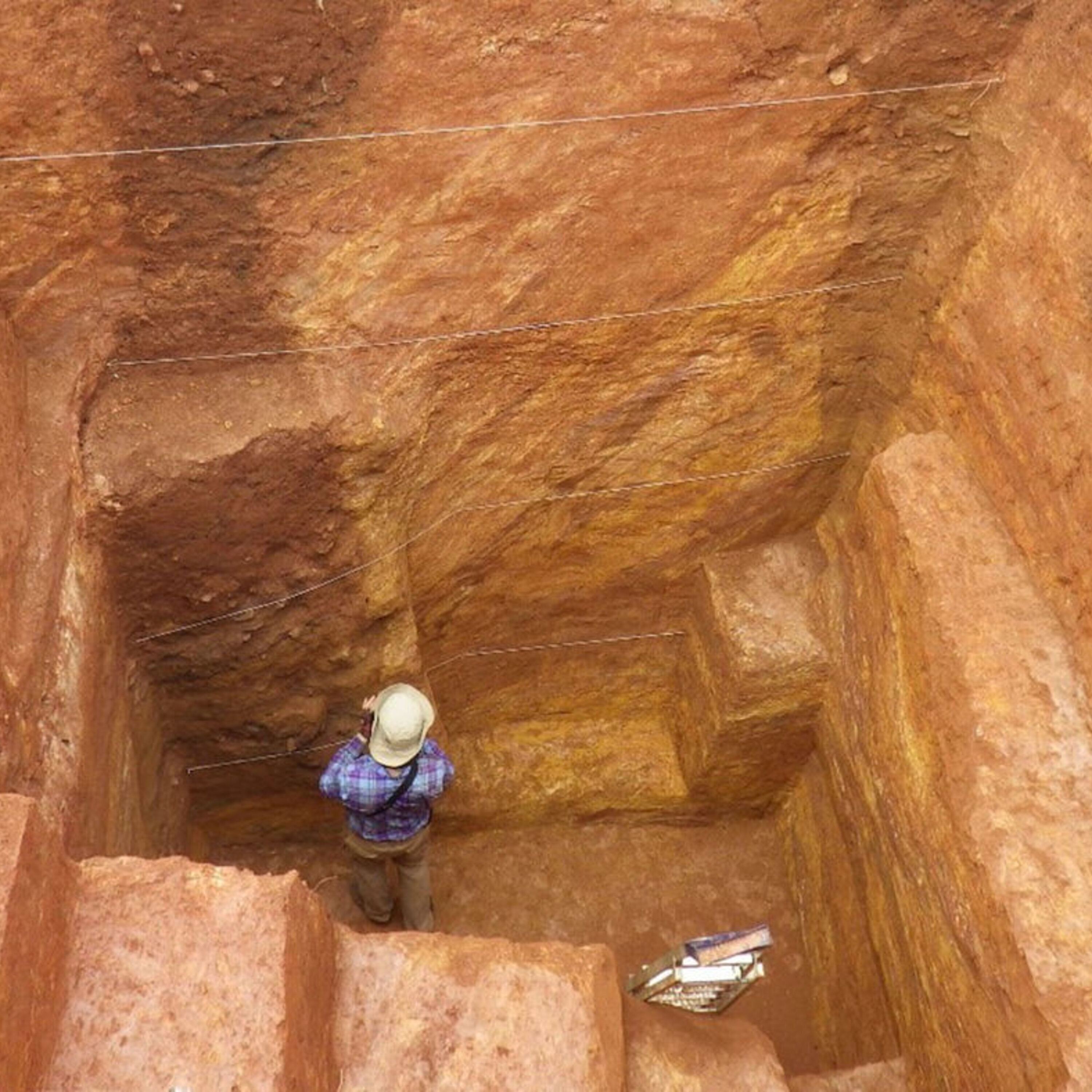 Clues that the medieval plague swept into sub-Saharan Africa and evidence humans hunted and butchered giant ground sloths 12,000 years ago