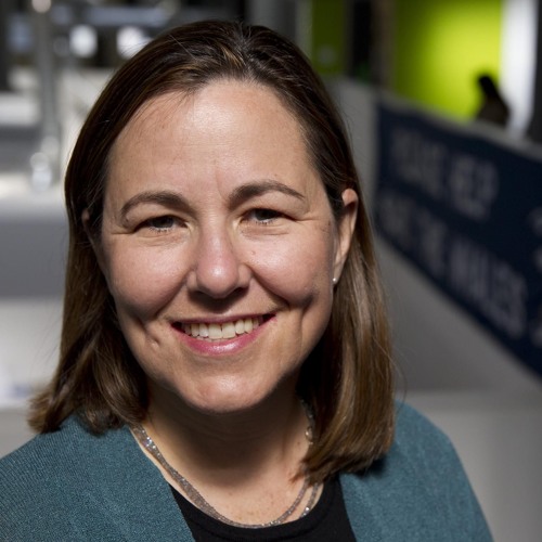 Bread and Roses: Time Poverty, Super-Wealth and the Politics of Happiness - Annie Leonard and John de Graaf