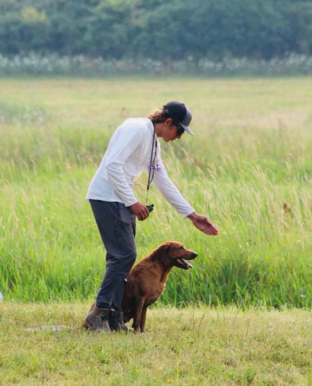 E 246. It's a Family Business. E 246. It's a Family Business.