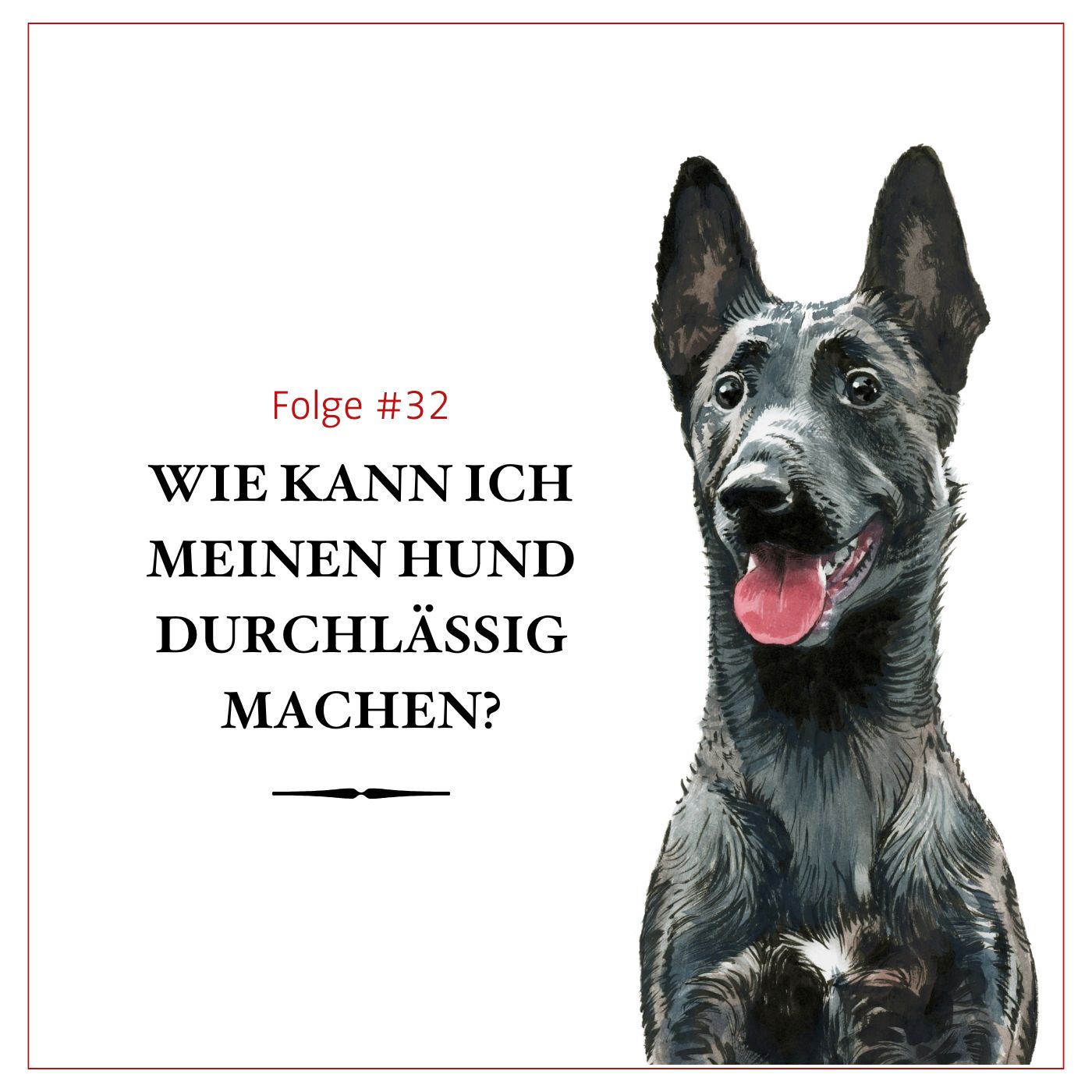 Wie kann ich meinen Hund durchlässig machen? –#32