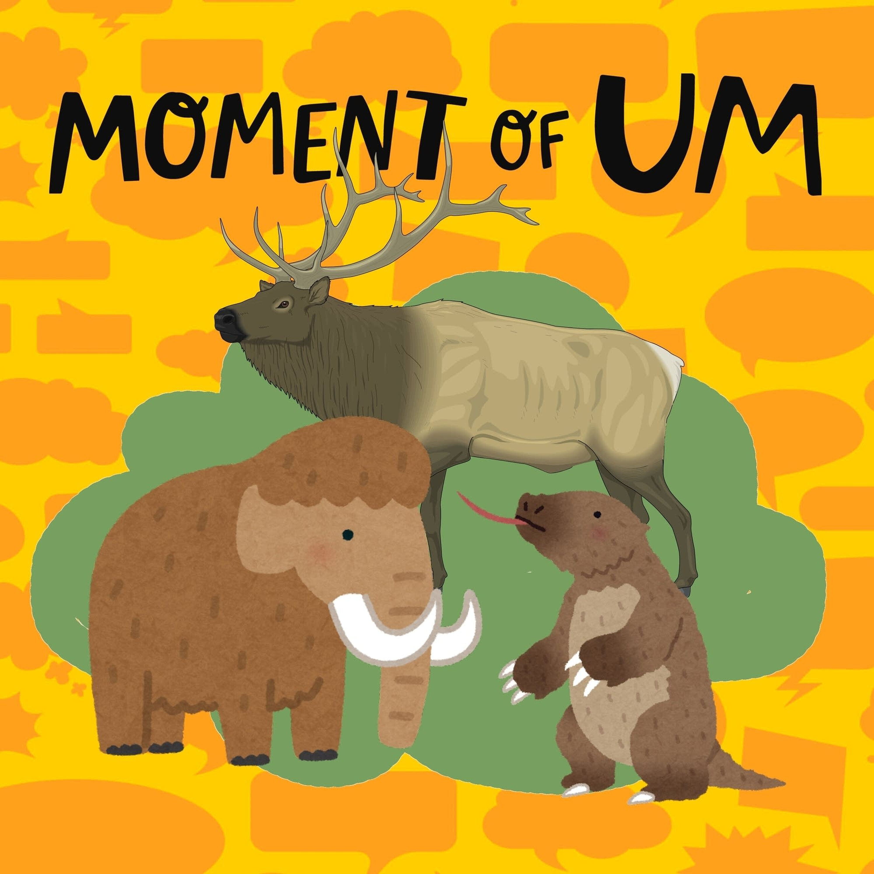 Why were animals bigger in the past?