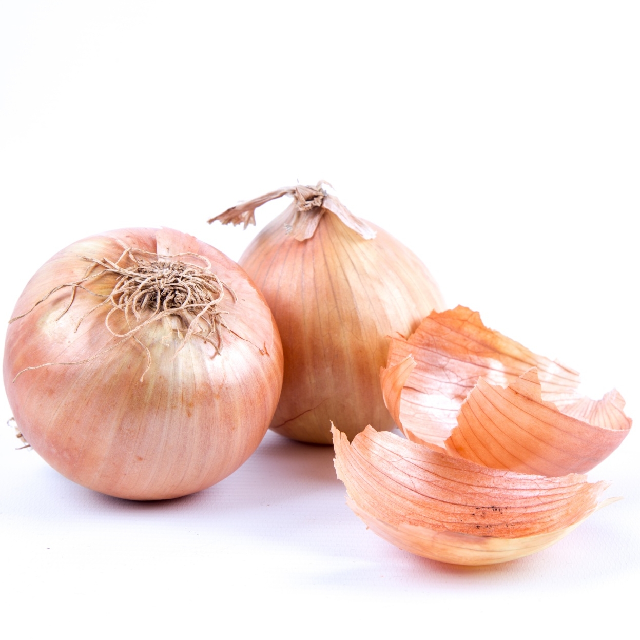 Episode 28: Fancy Bean Company