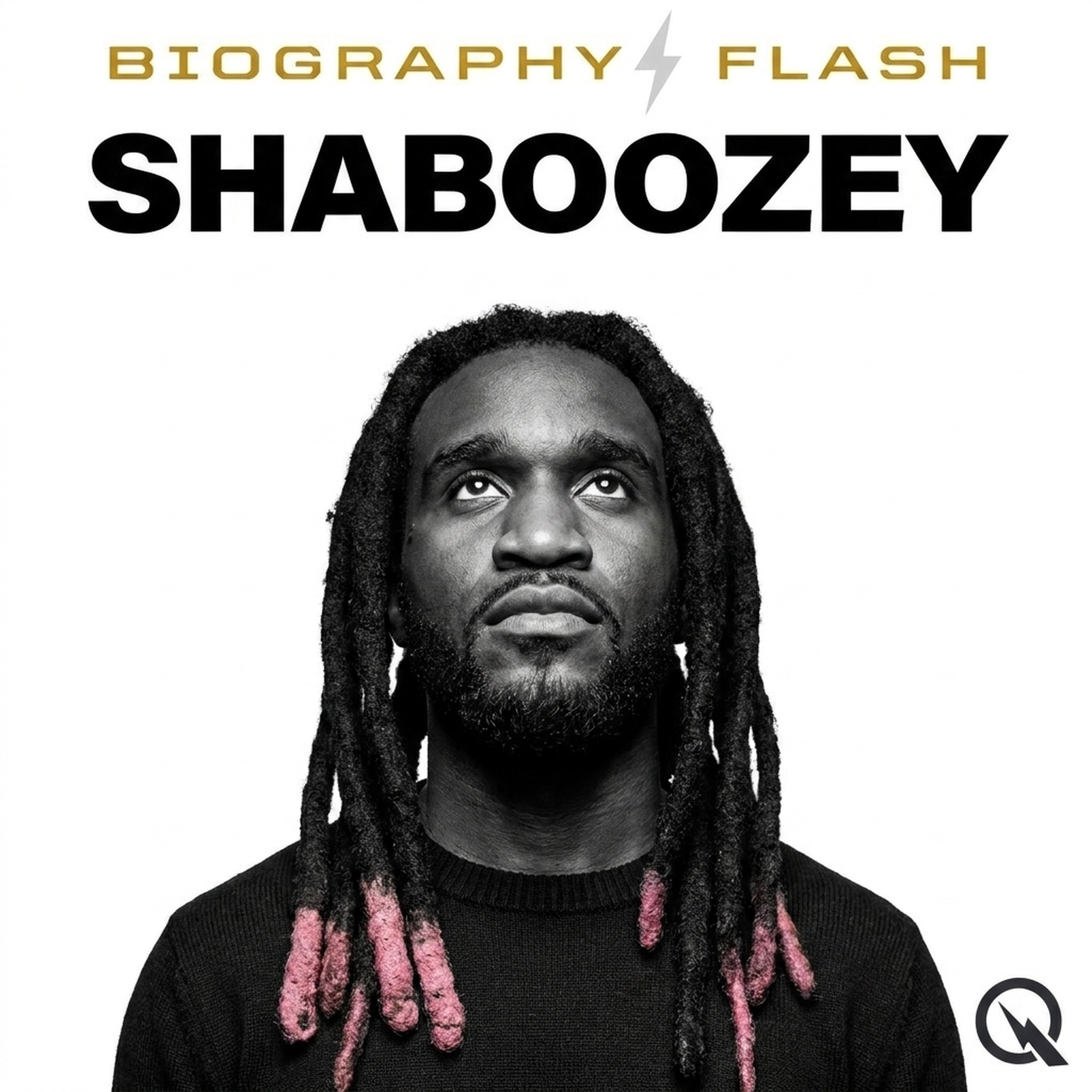 Shaboozey - Biography Flash