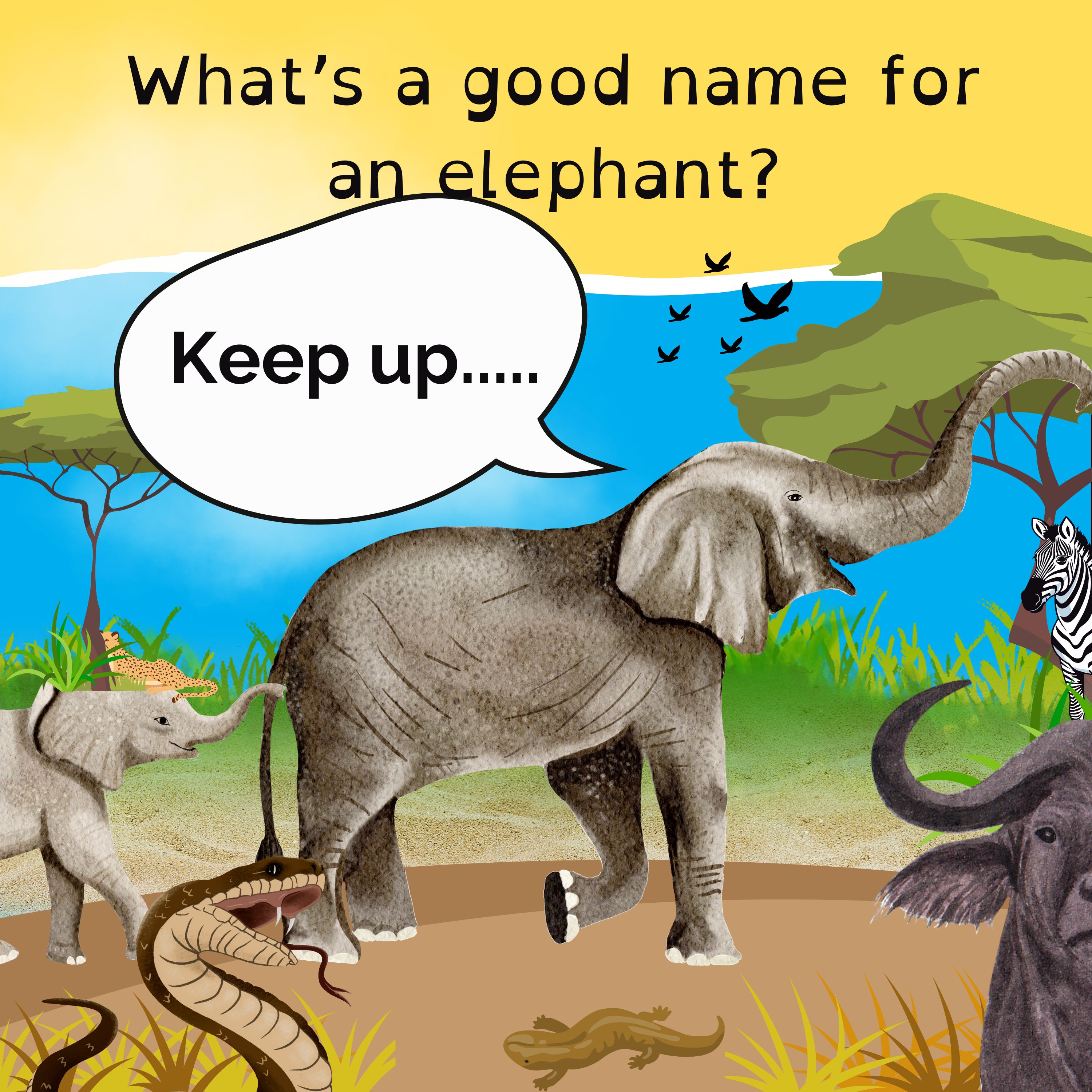 Panda diplomacy in Adelaide; Mars’ snowy mountains; Elephants have names; and the fake Tassie Tiger.