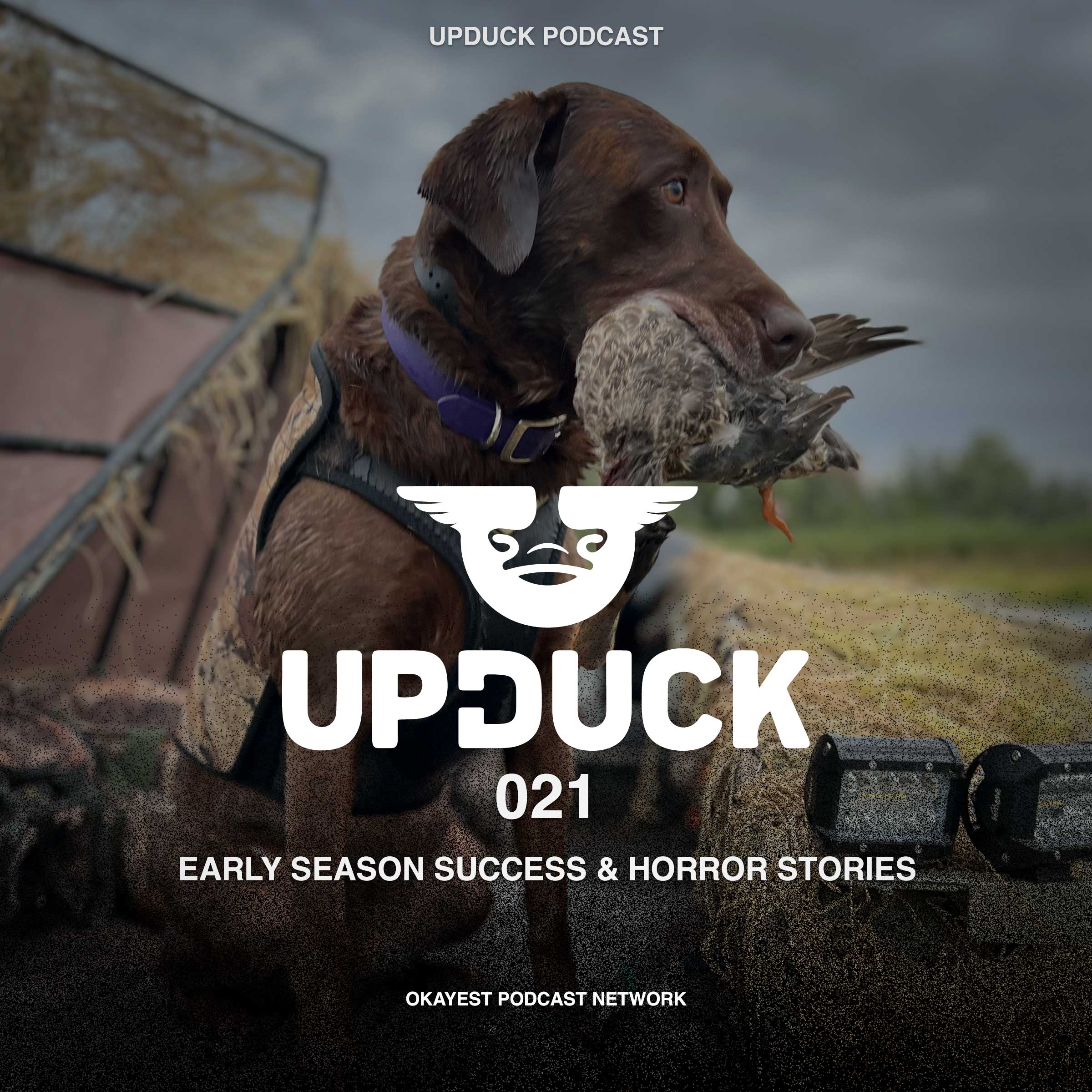 Early Season Success & Horror Stories episode artwork